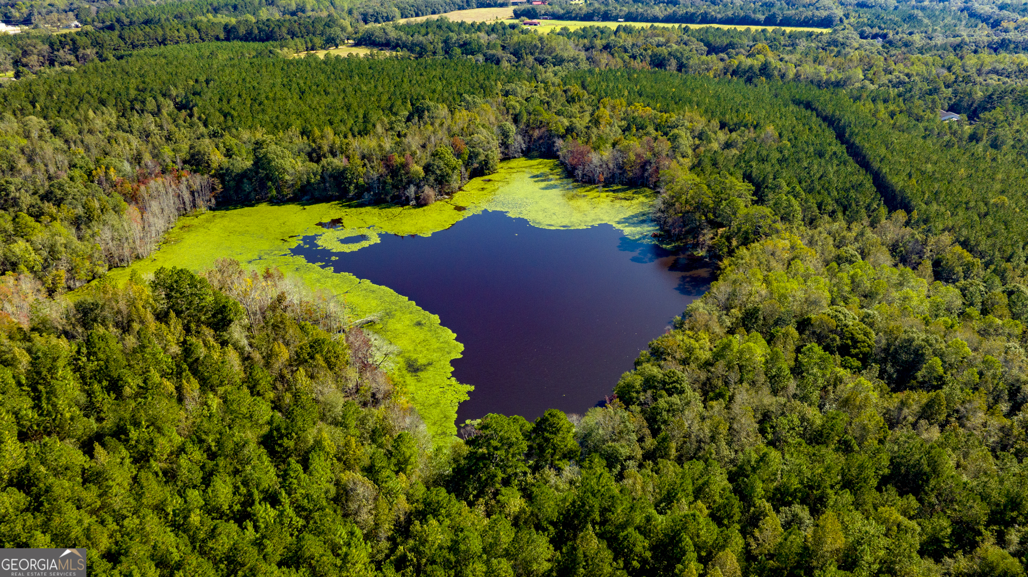 2947 Ivey Avenue Claxton GA 30417