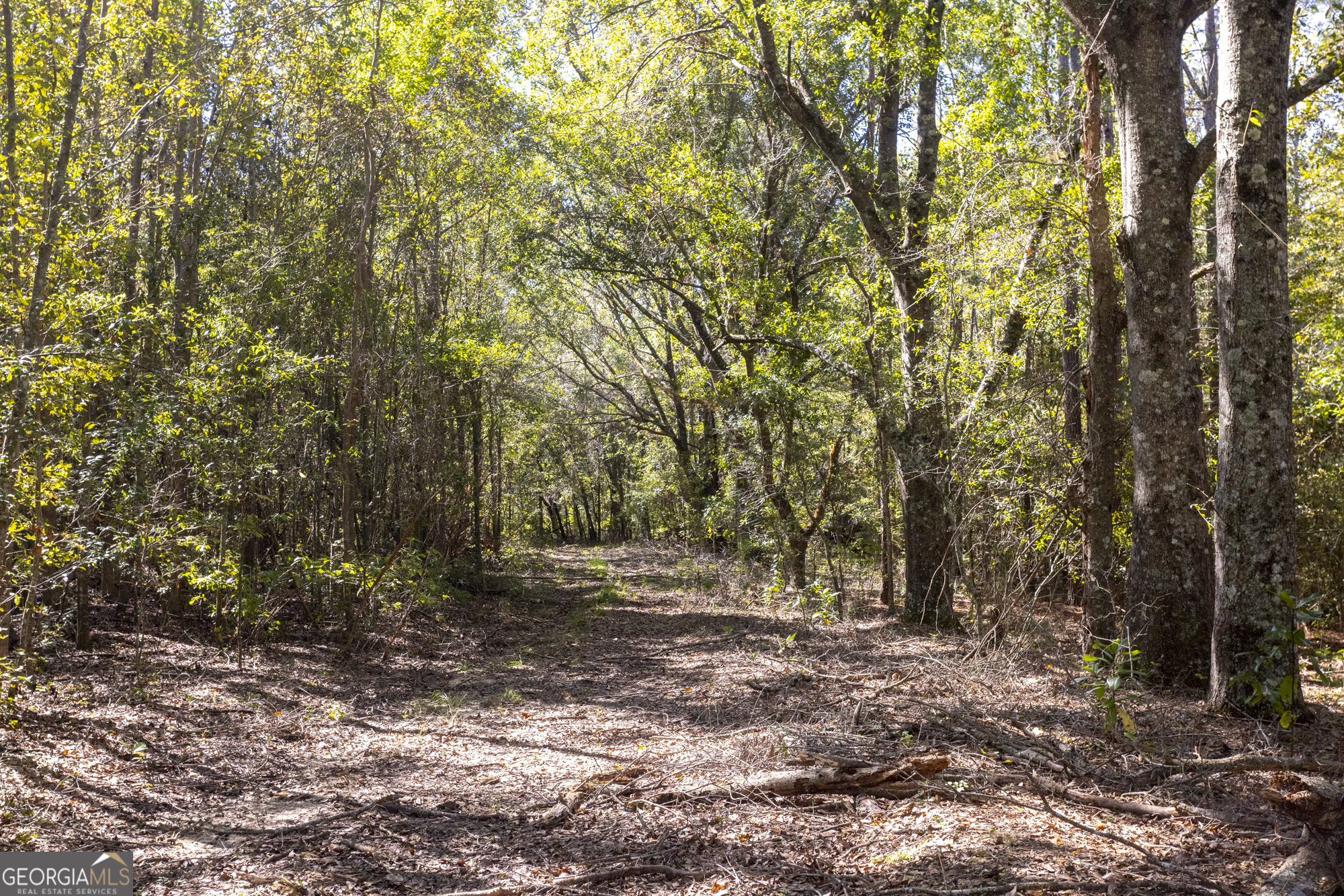2947 Ivey Avenue Claxton GA 30417