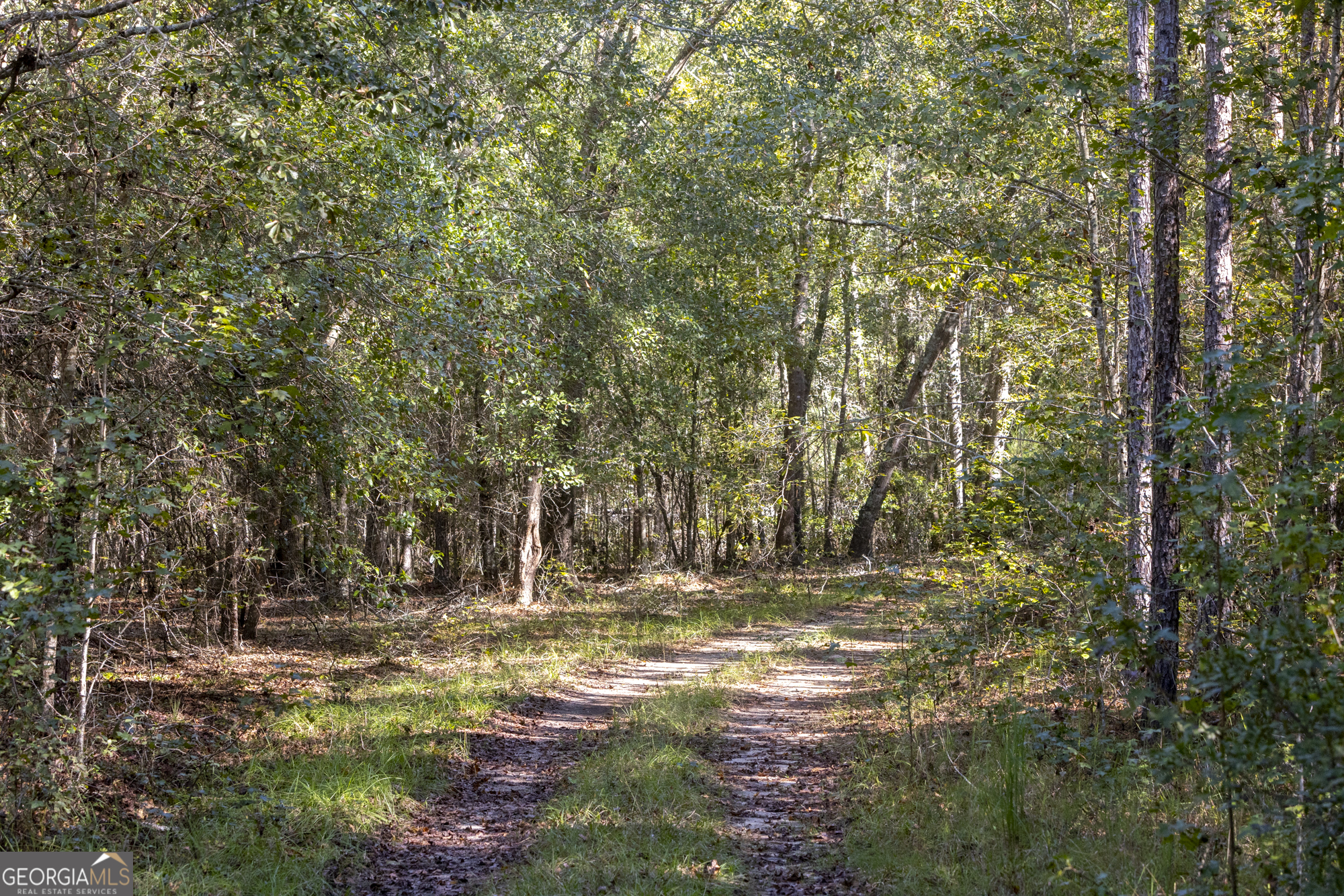 2947 Ivey Avenue Claxton GA 30417