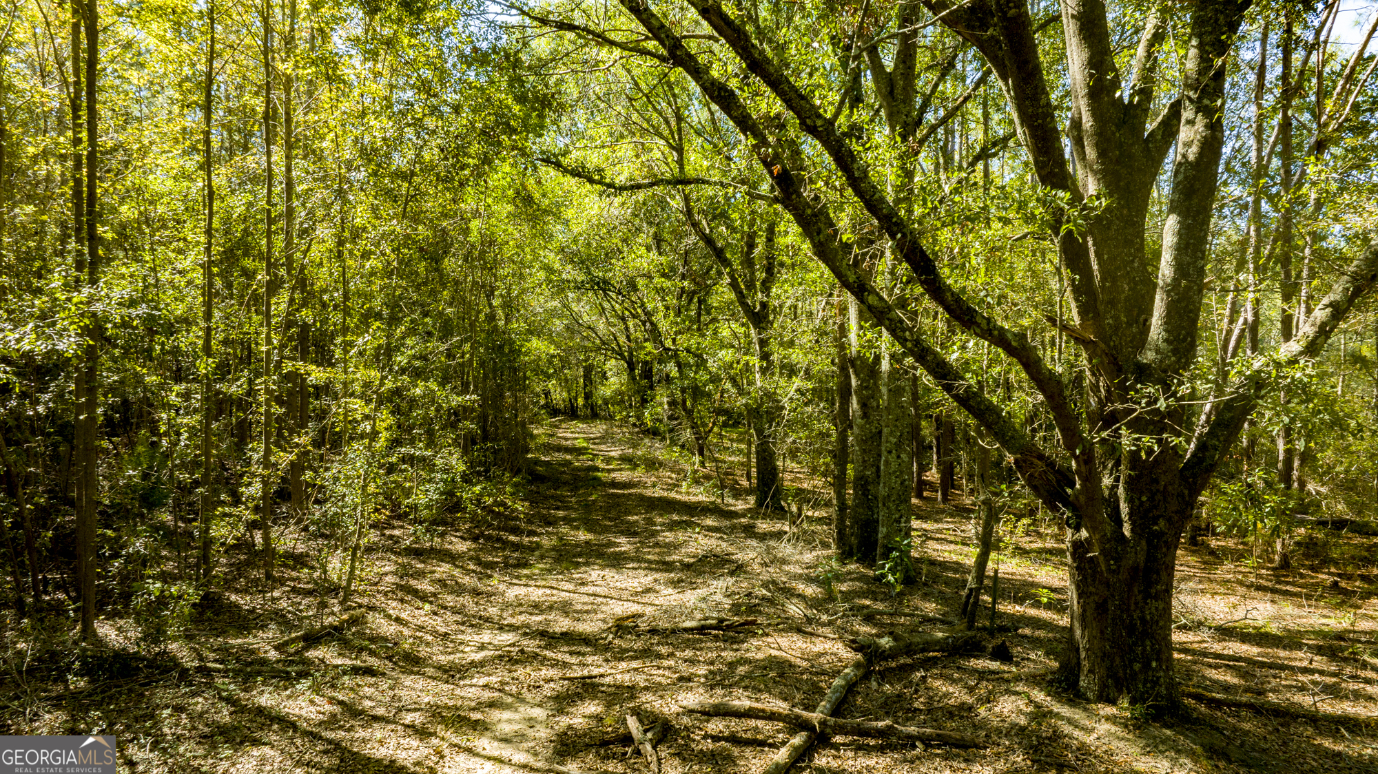 2947 Ivey Avenue Claxton GA 30417