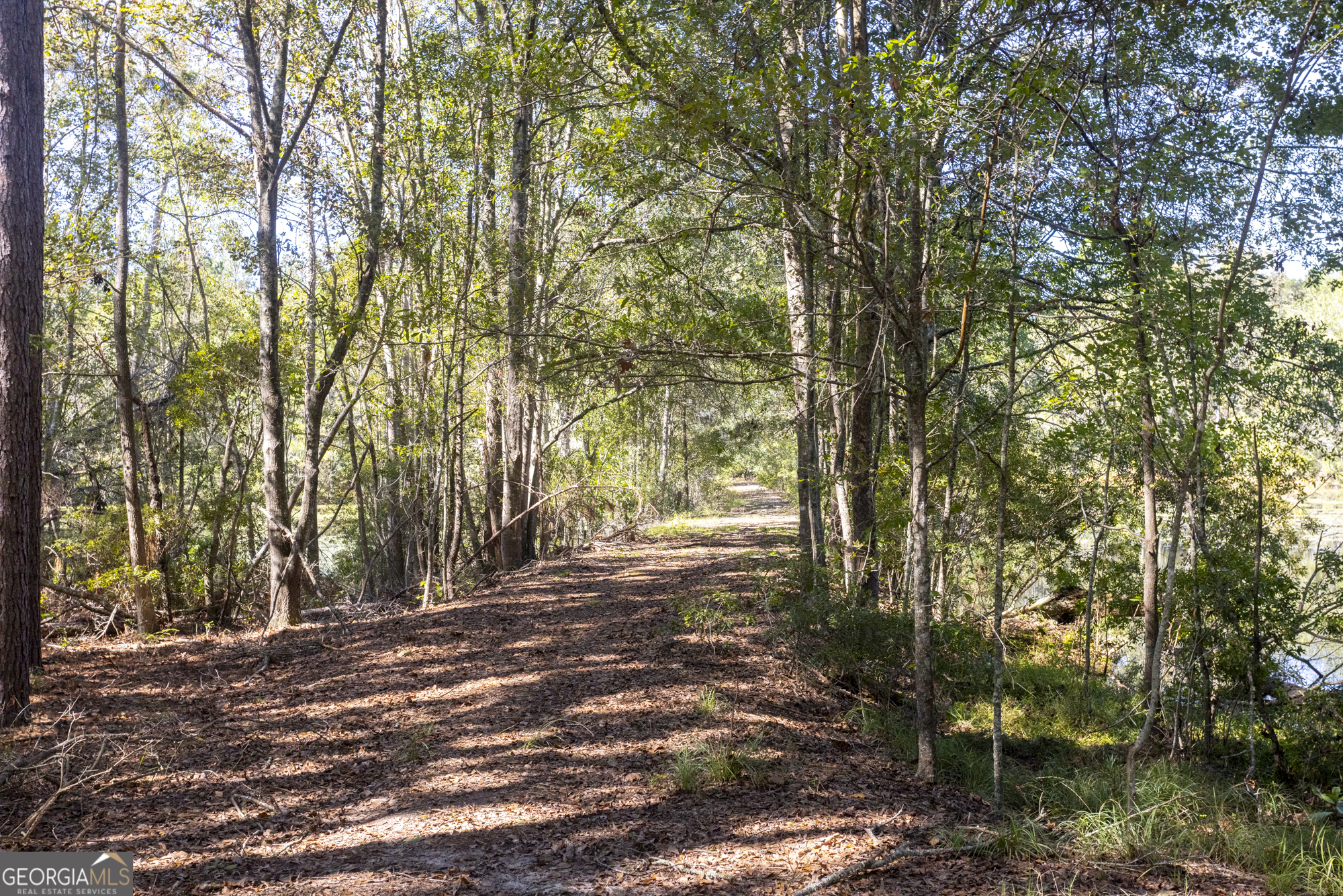 2947 Ivey Avenue Claxton GA 30417