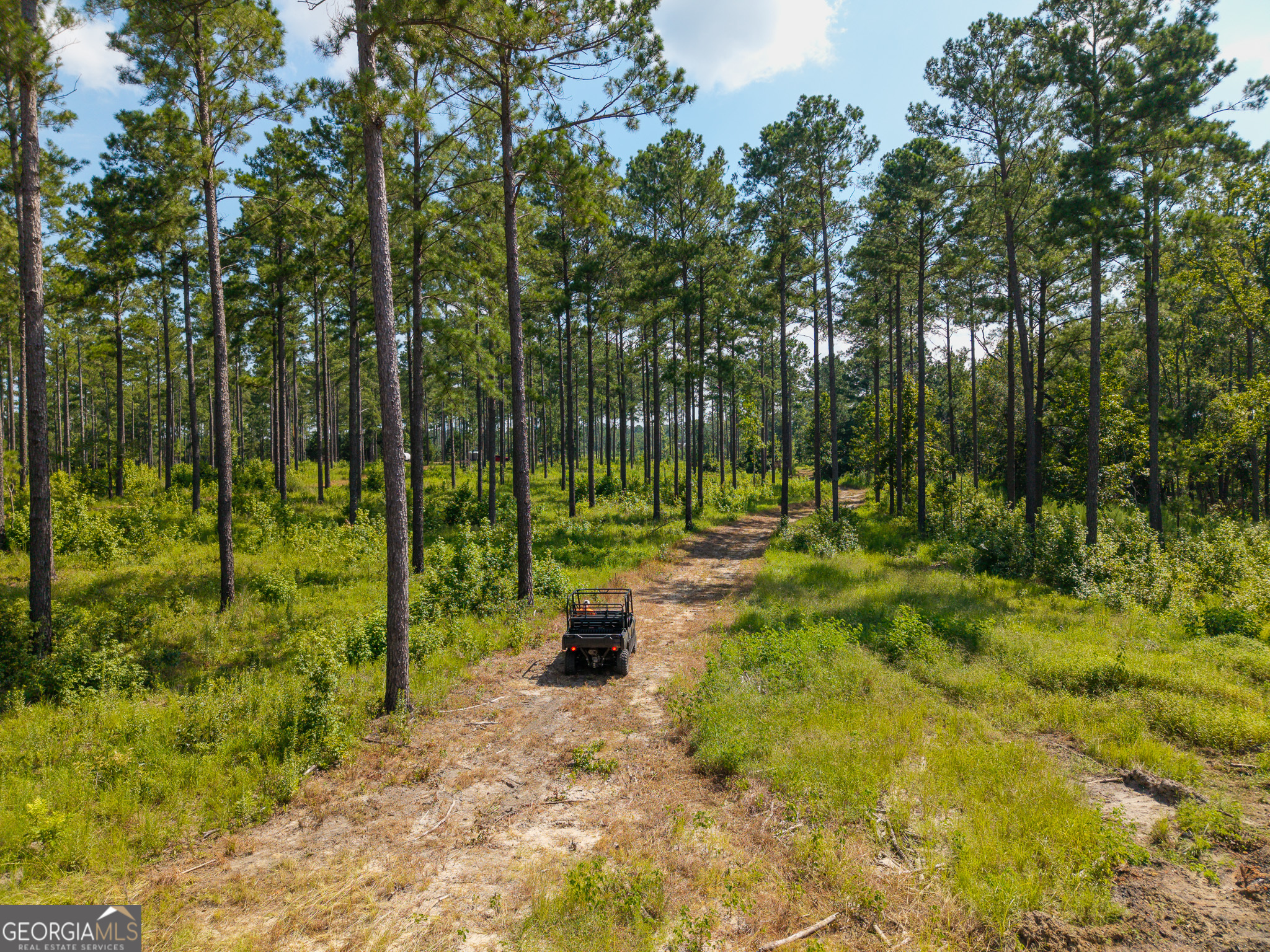 0 Henry Moxley Road Cobbtown GA 30420