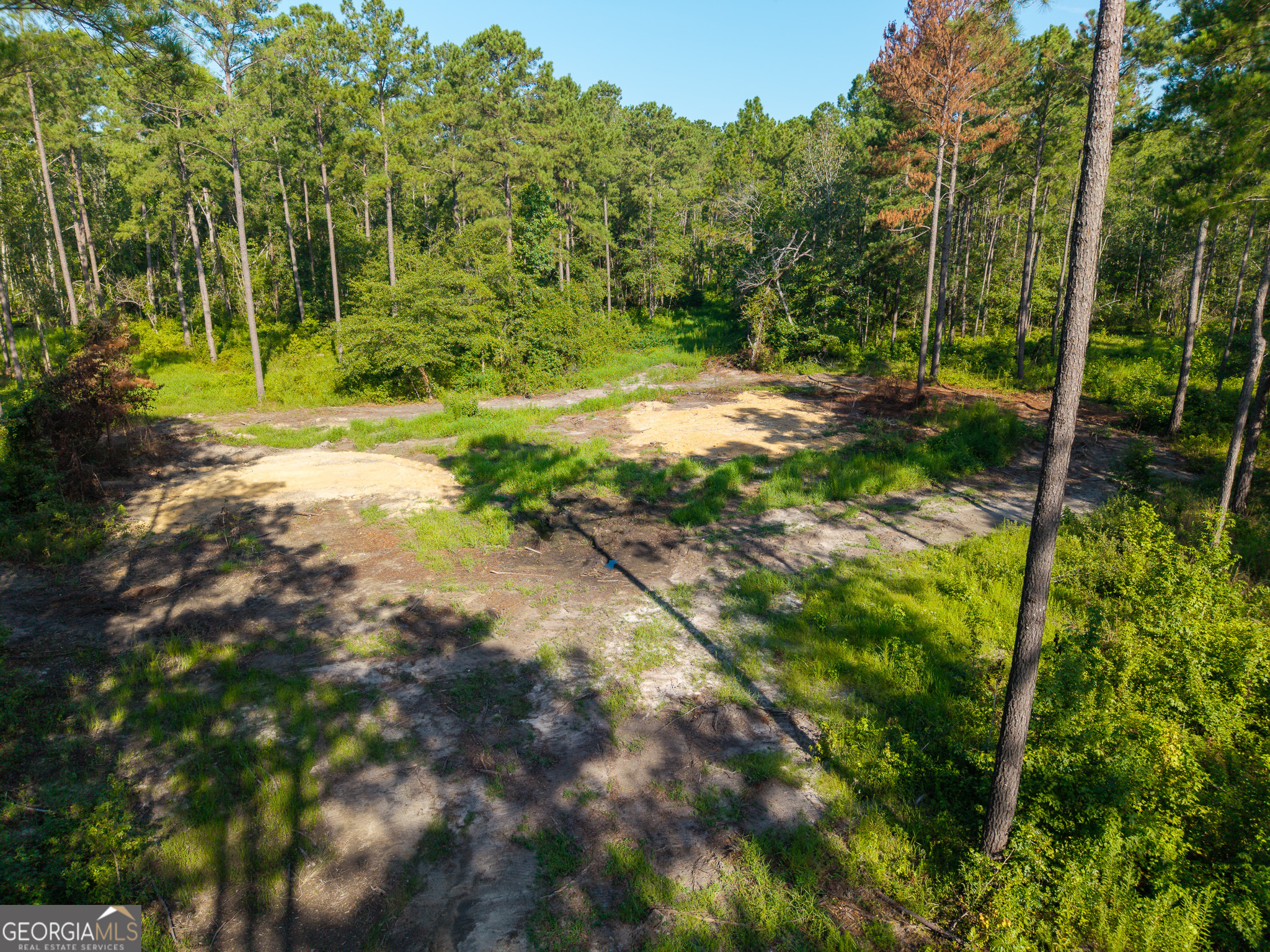 0 Henry Moxley Road Cobbtown GA 30420