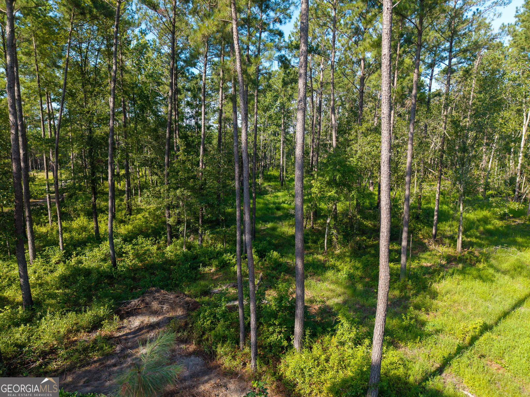 0 Henry Moxley Road Cobbtown GA 30420