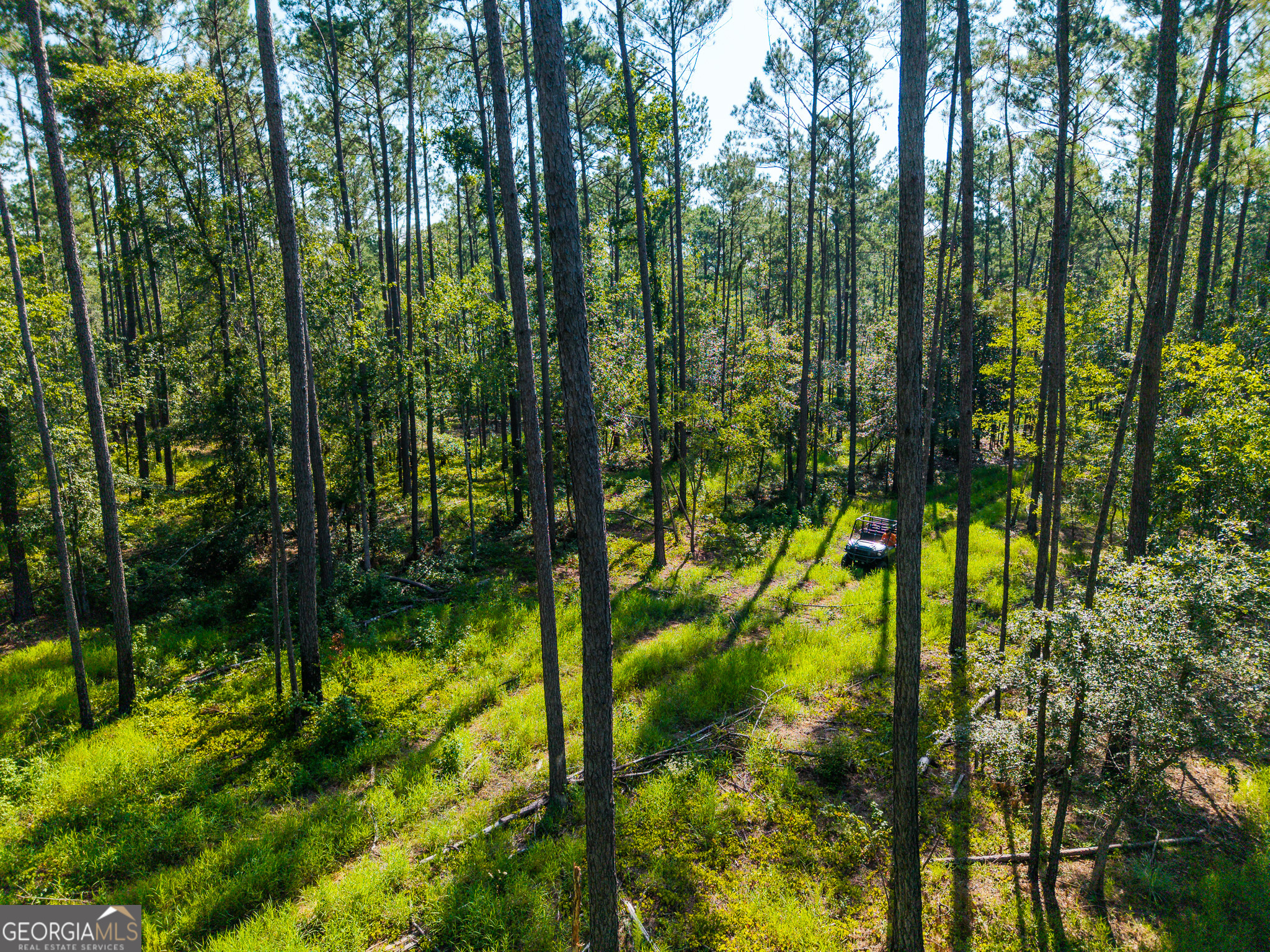 0 Henry Moxley Road Cobbtown GA 30420