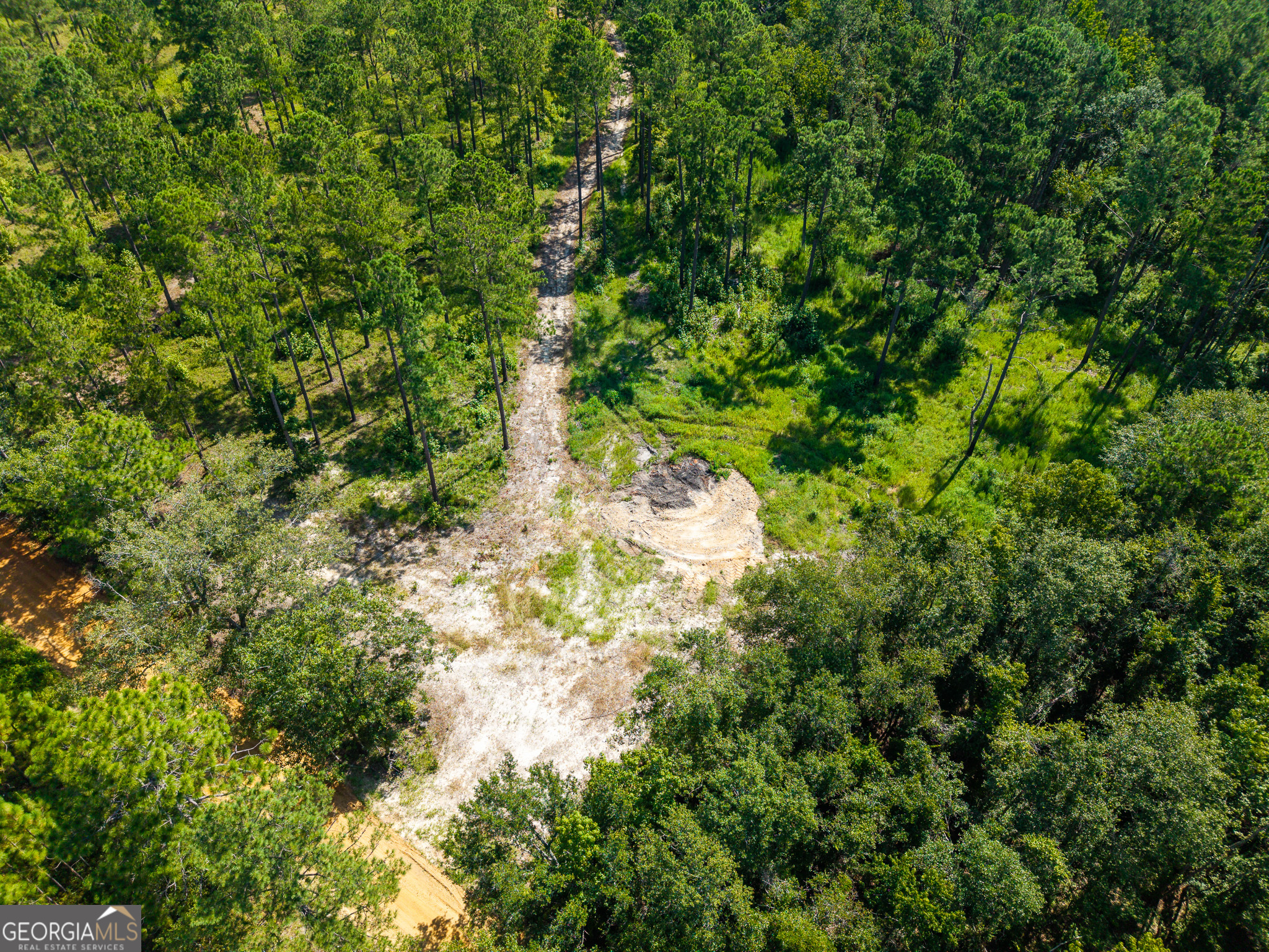0 Henry Moxley Road Cobbtown GA 30420