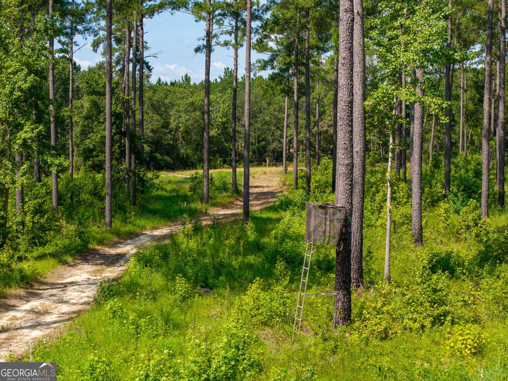 0 Henry Moxley Road Cobbtown GA 30420