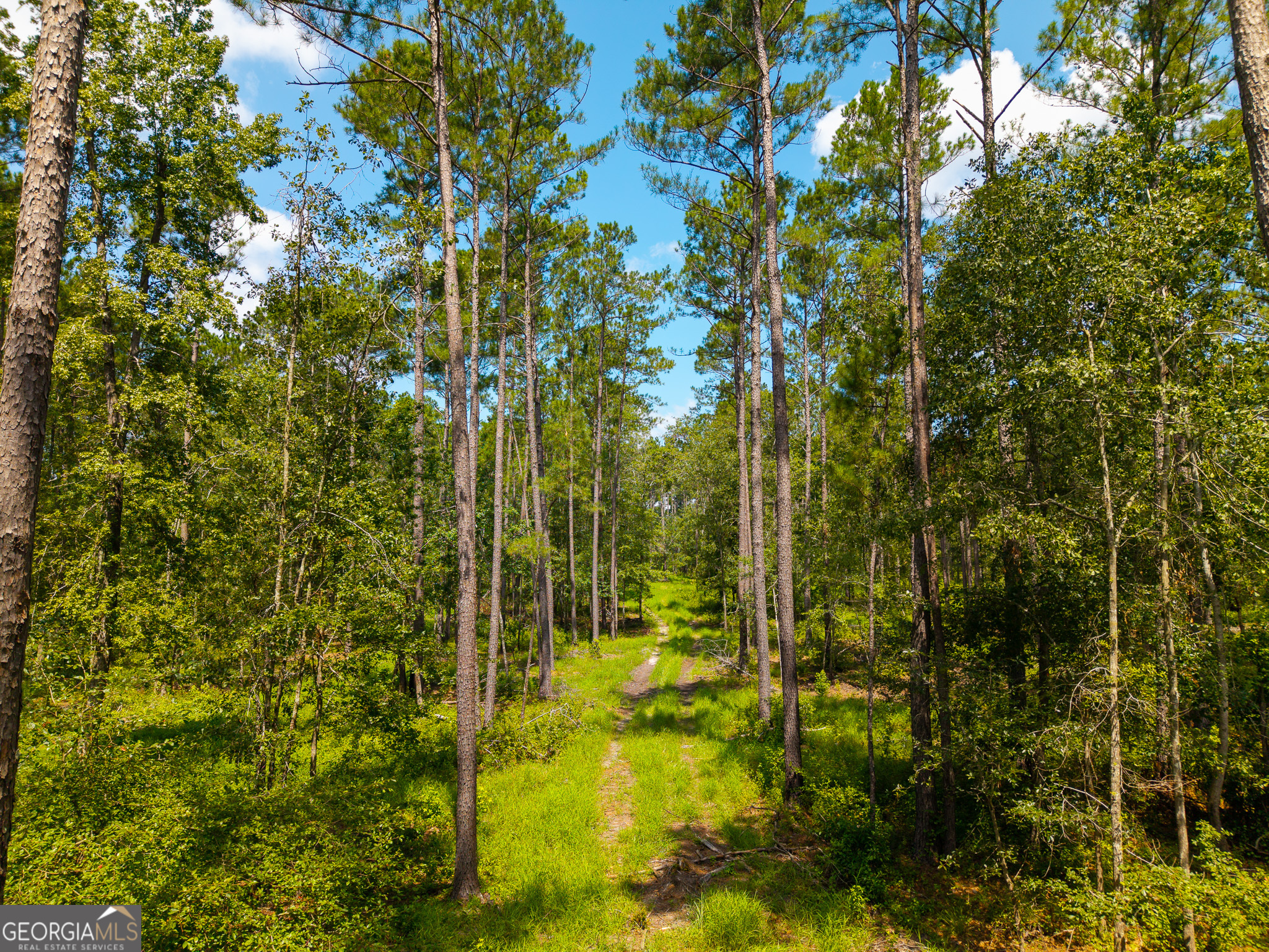 0 Henry Moxley Road Cobbtown GA 30420
