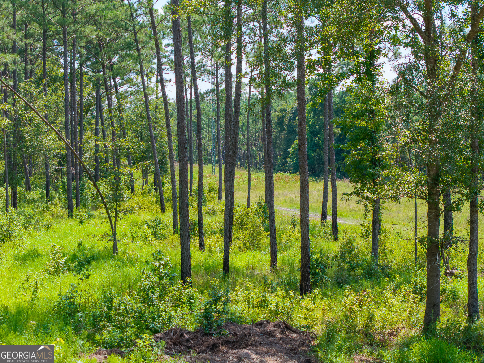 0 Henry Moxley Road Cobbtown GA 30420