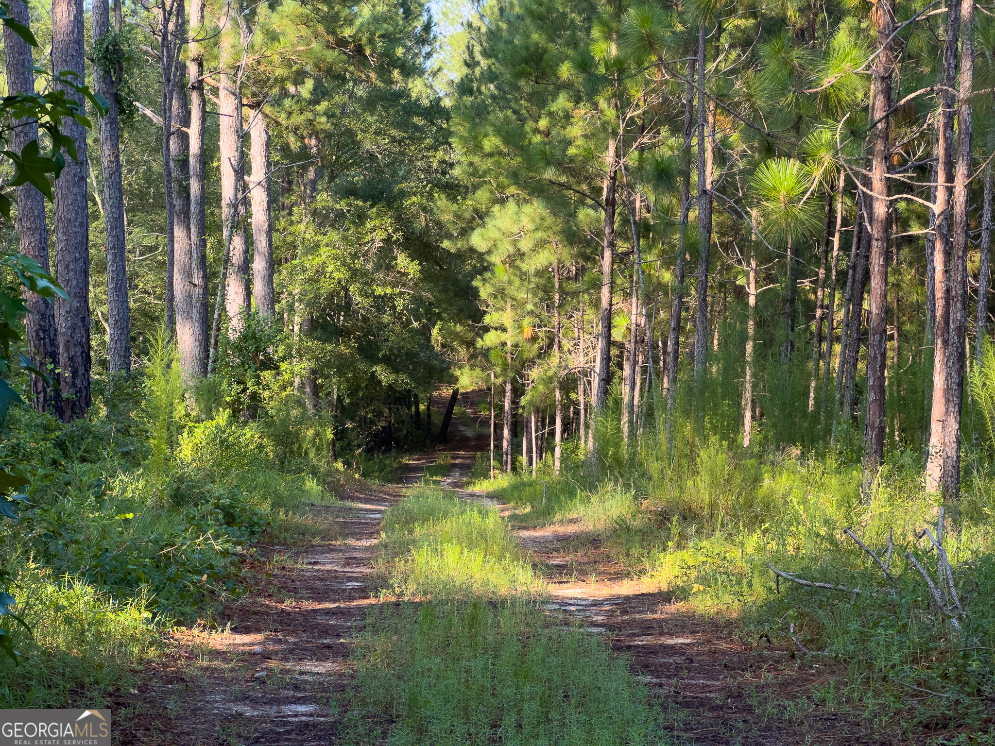 0 Henry Moxley Road Cobbtown GA 30420