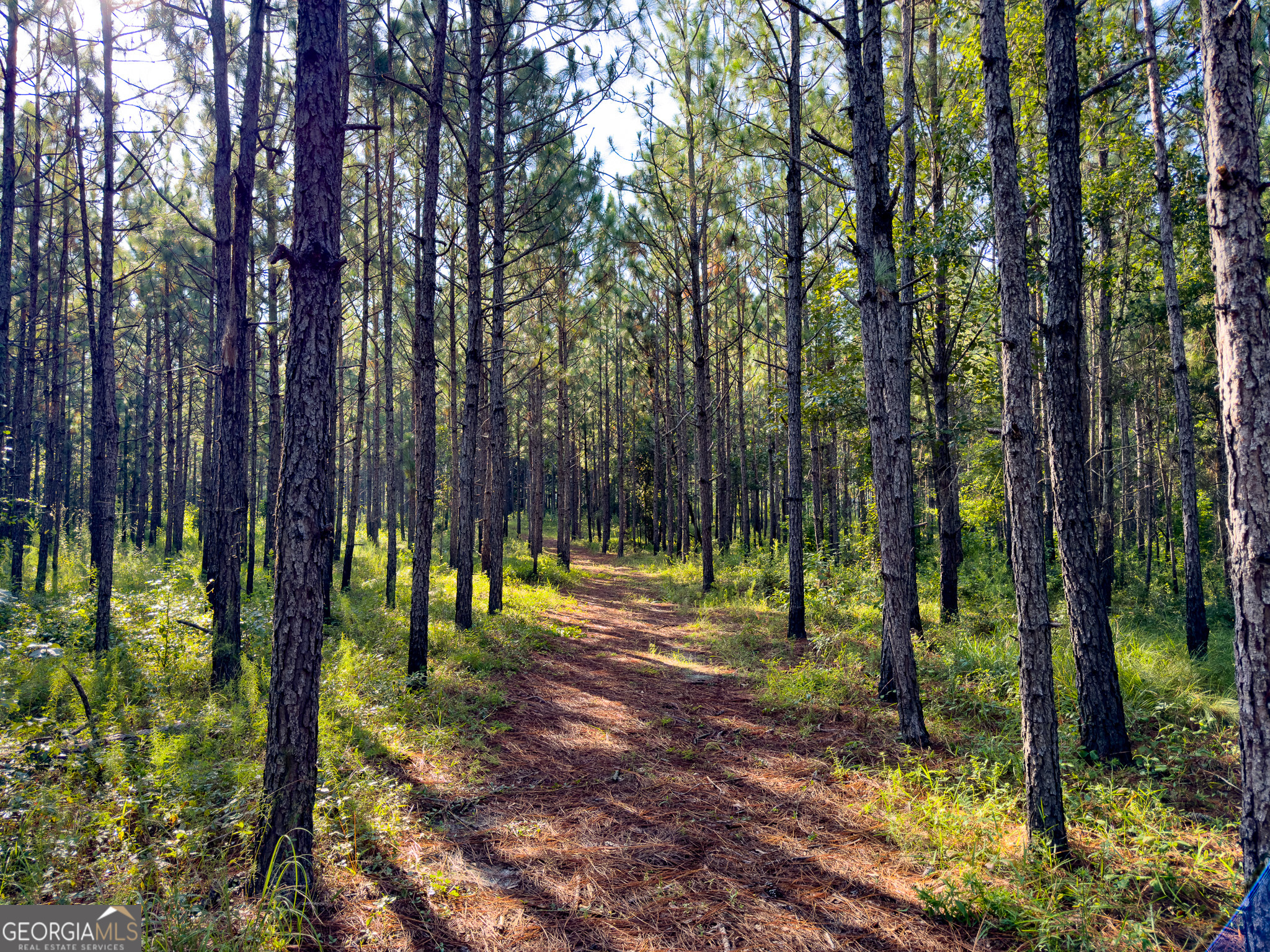 0 Henry Moxley Road Cobbtown GA 30420