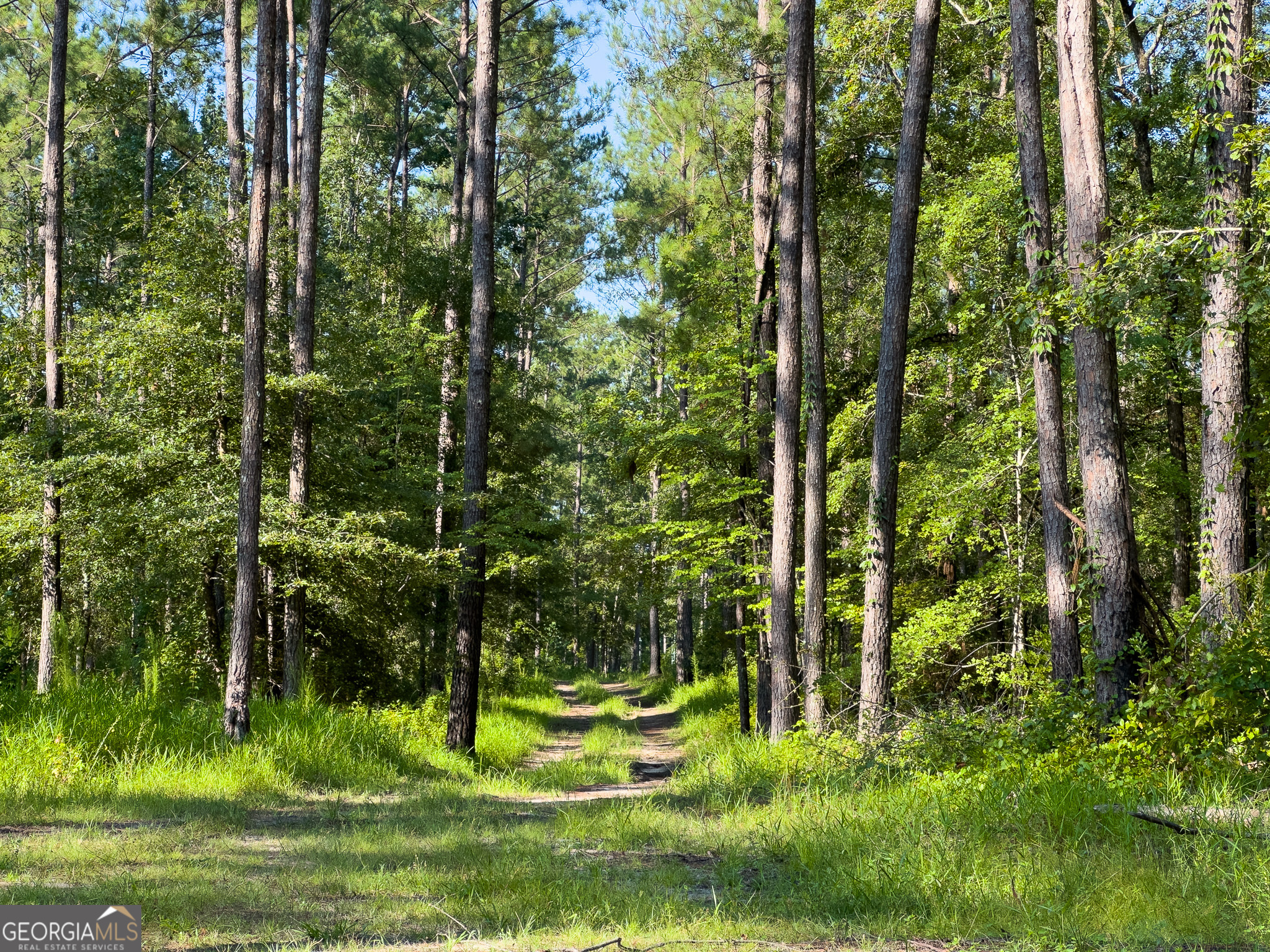 0 Henry Moxley Road Cobbtown GA 30420