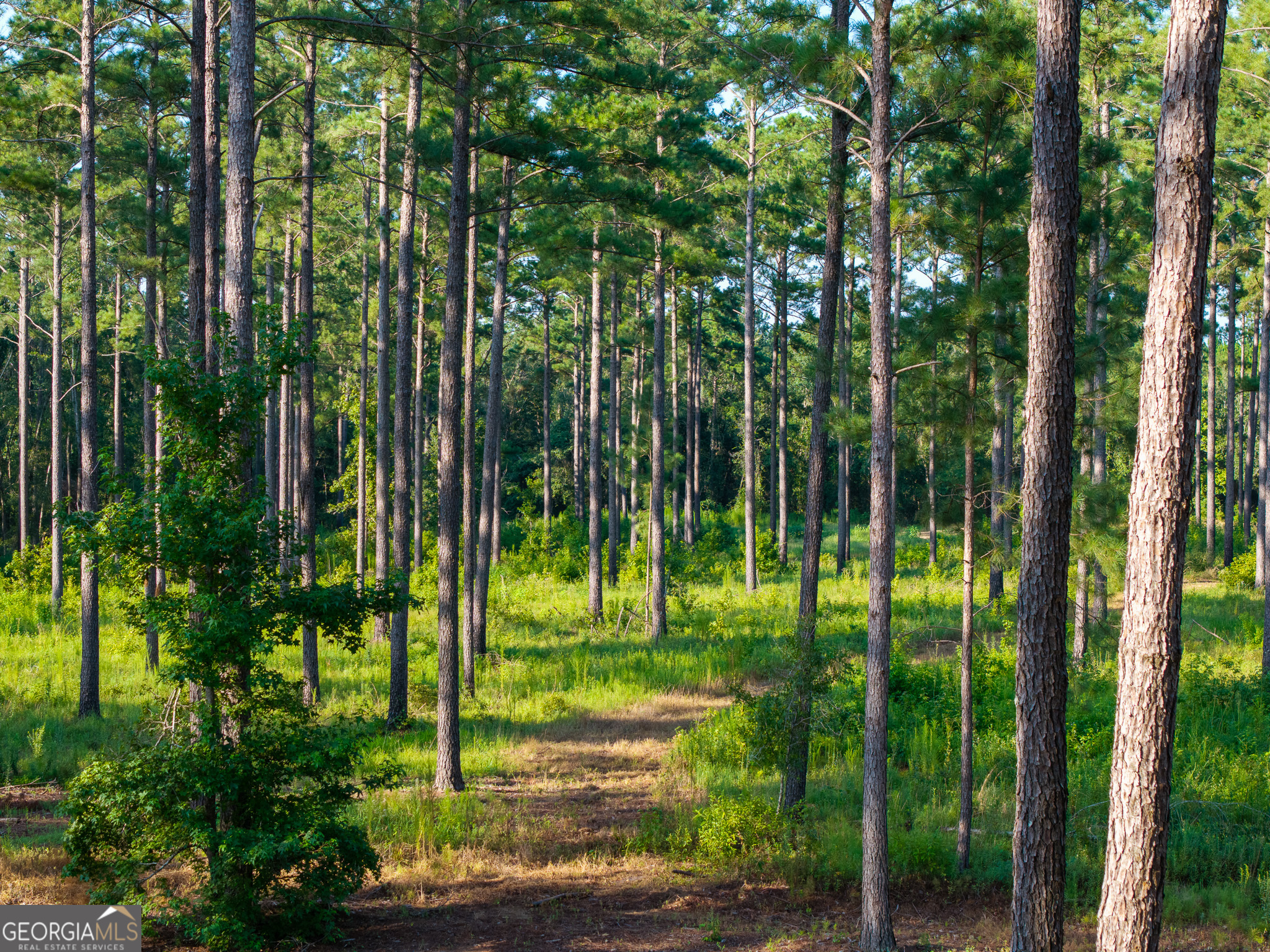 0 Henry Moxley Road Cobbtown GA 30420