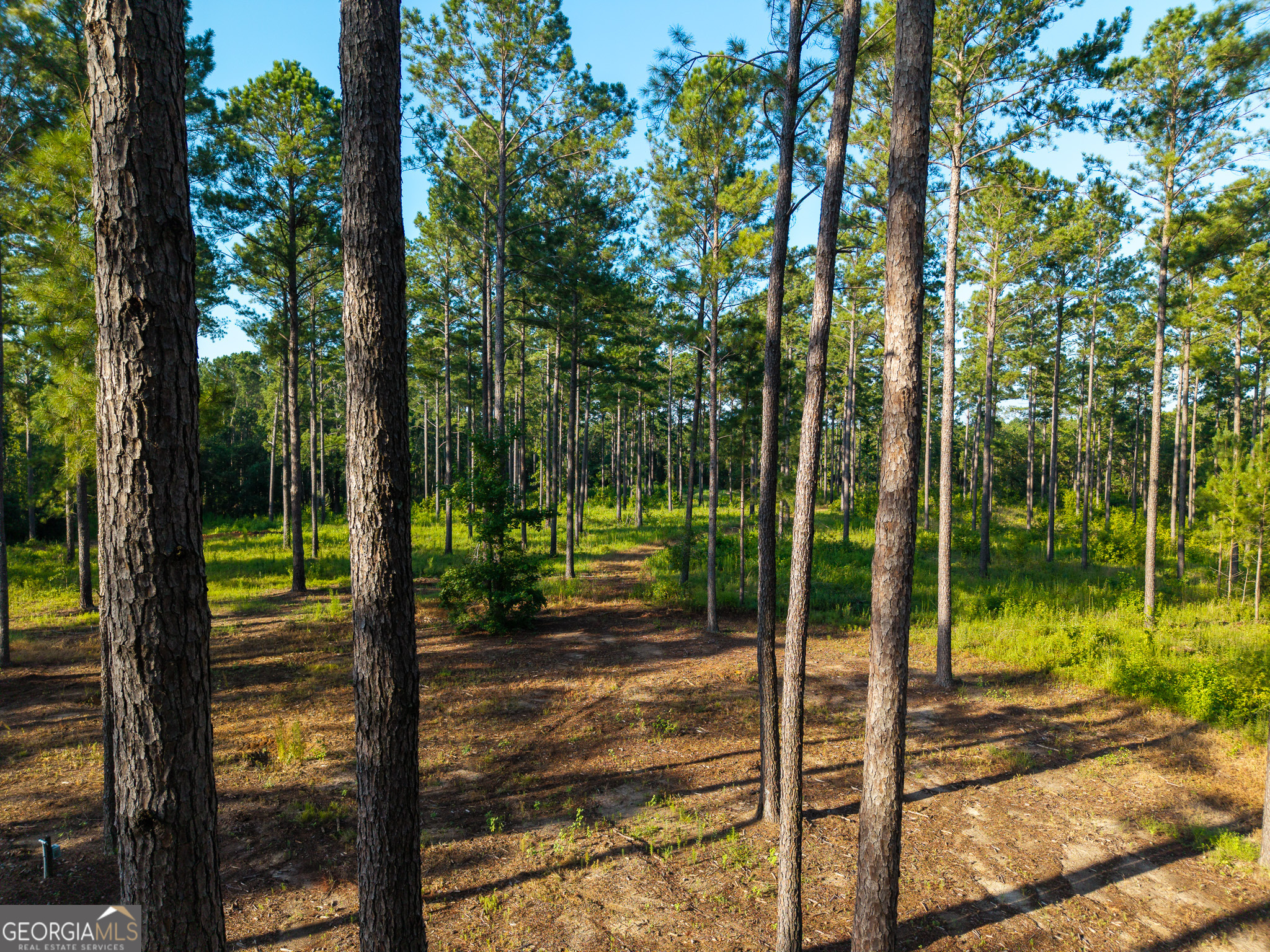 0 Henry Moxley Road Cobbtown GA 30420