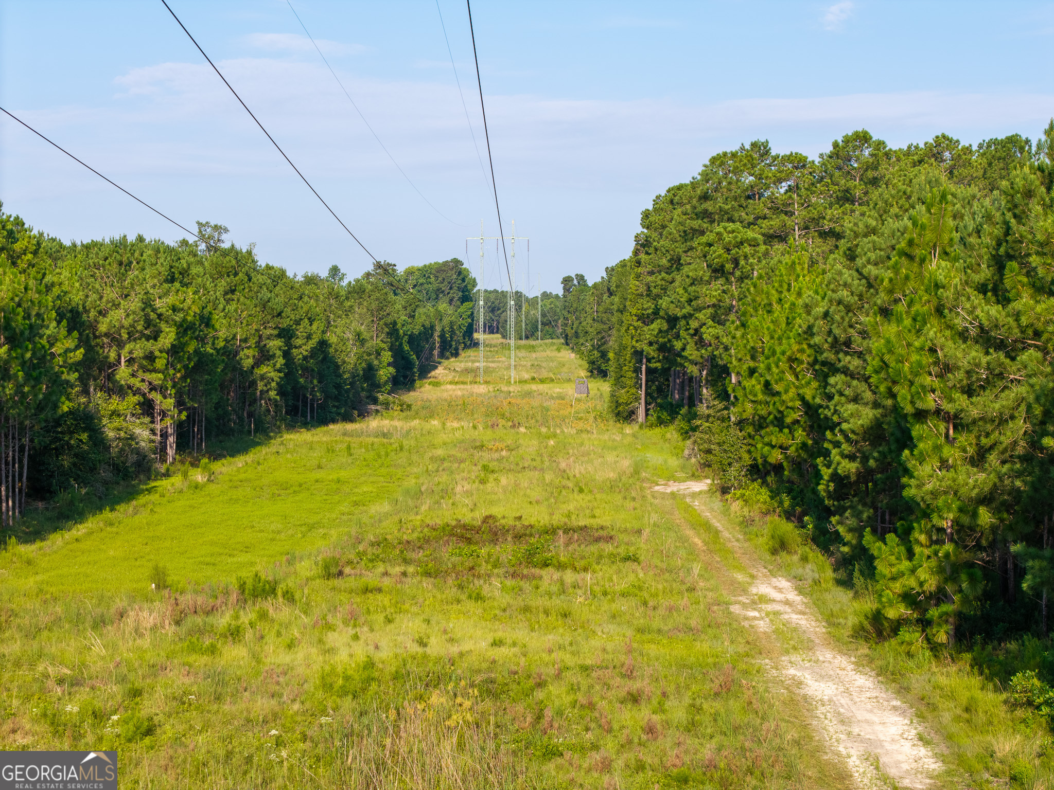 0 Henry Moxley Road Cobbtown GA 30420