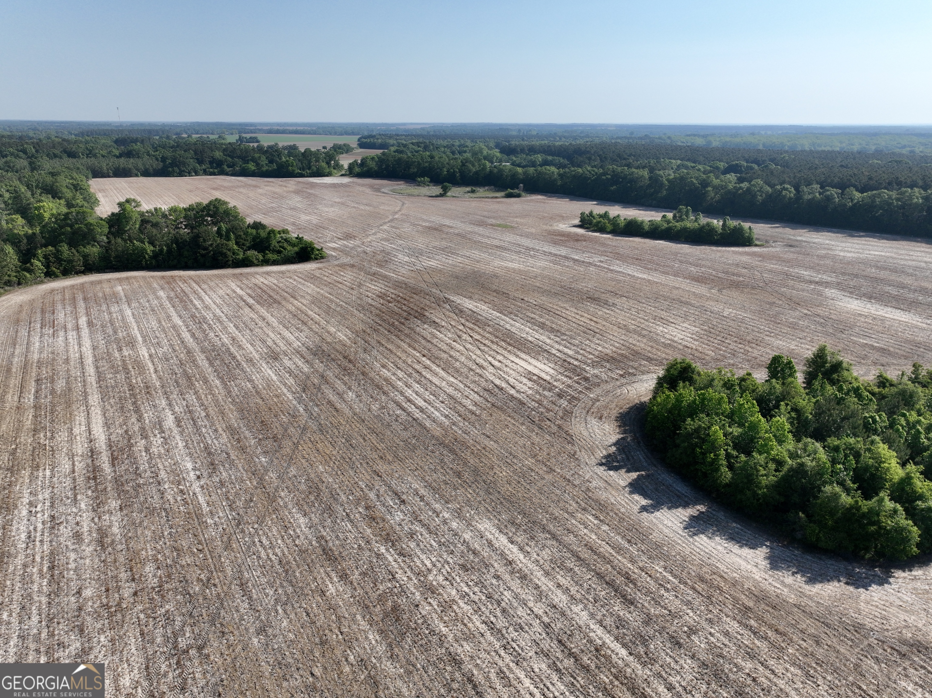 0 Folds Road Pineview GA 31071