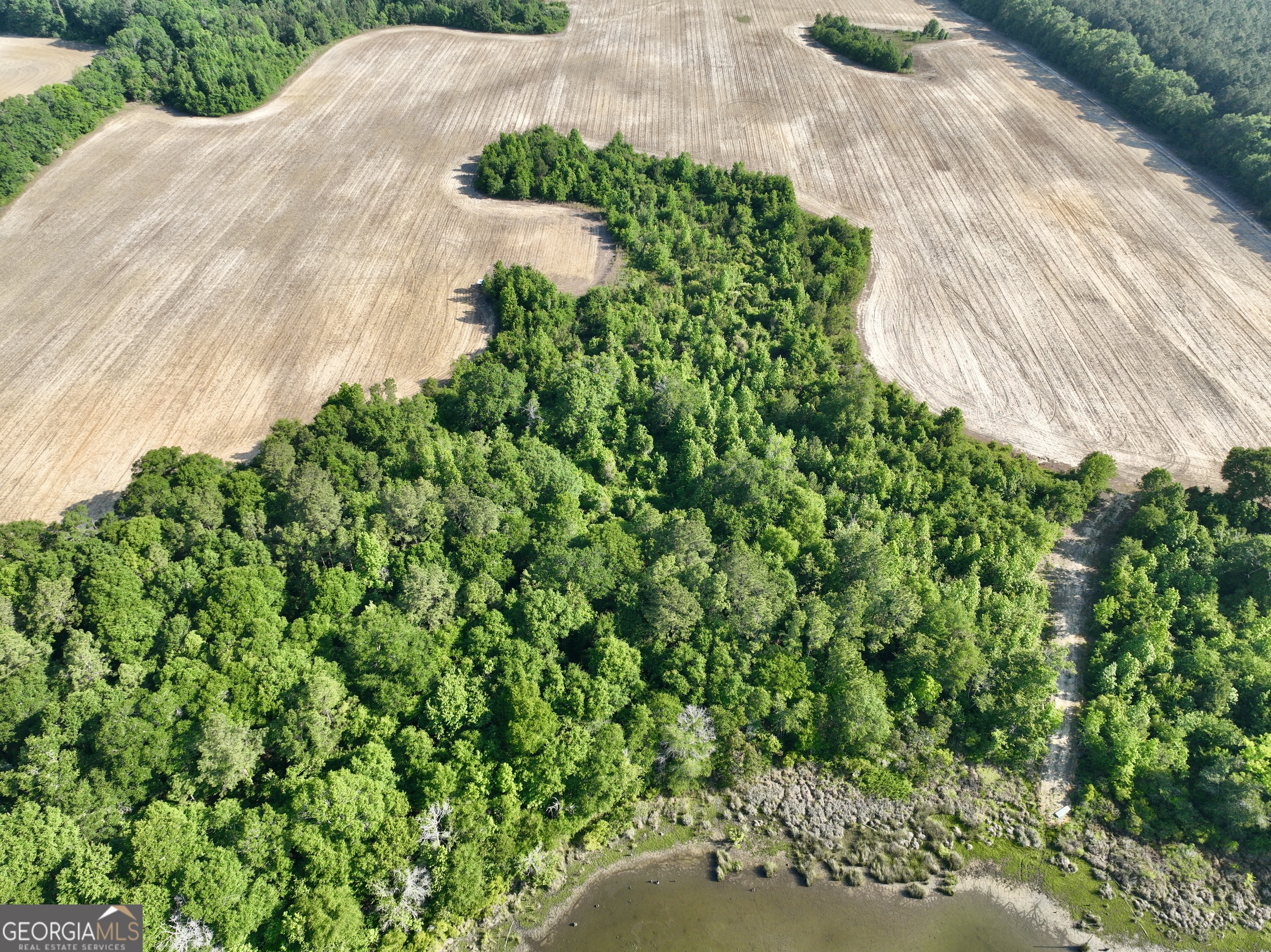 0 Folds Road Pineview GA 31071