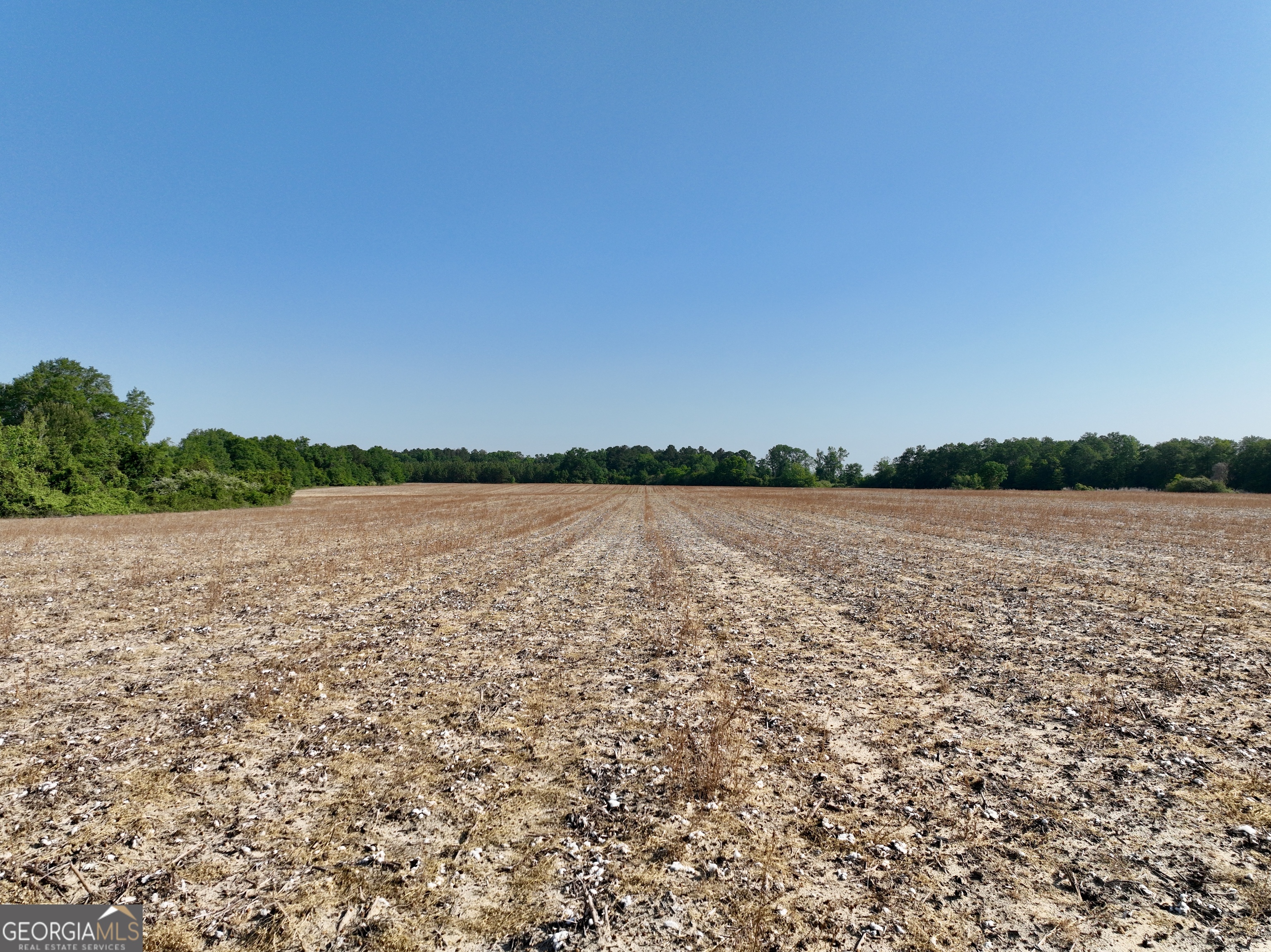0 Folds Road Pineview GA 31071