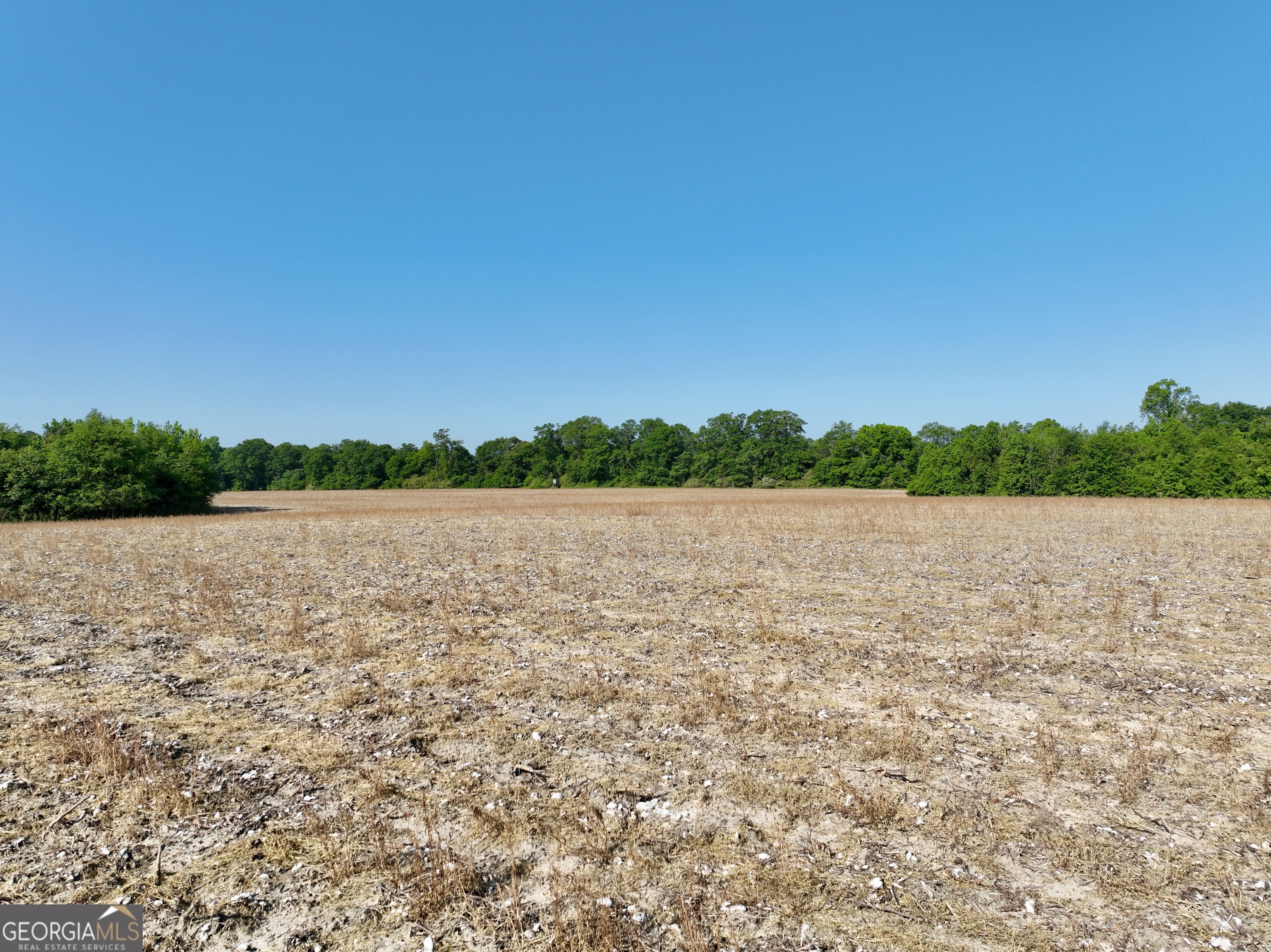 0 Folds Road Pineview GA 31071