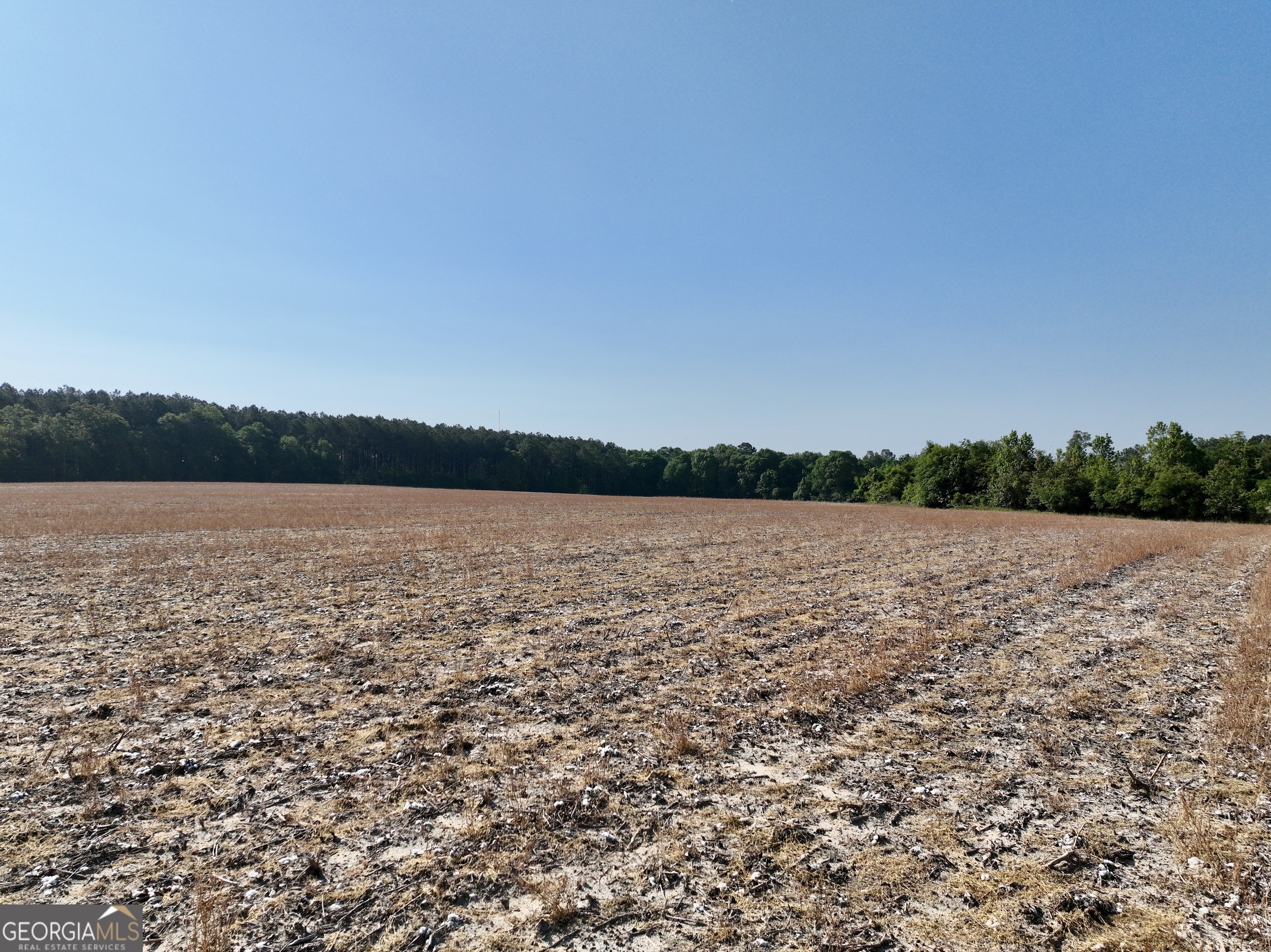 0 Folds Road Pineview GA 31071