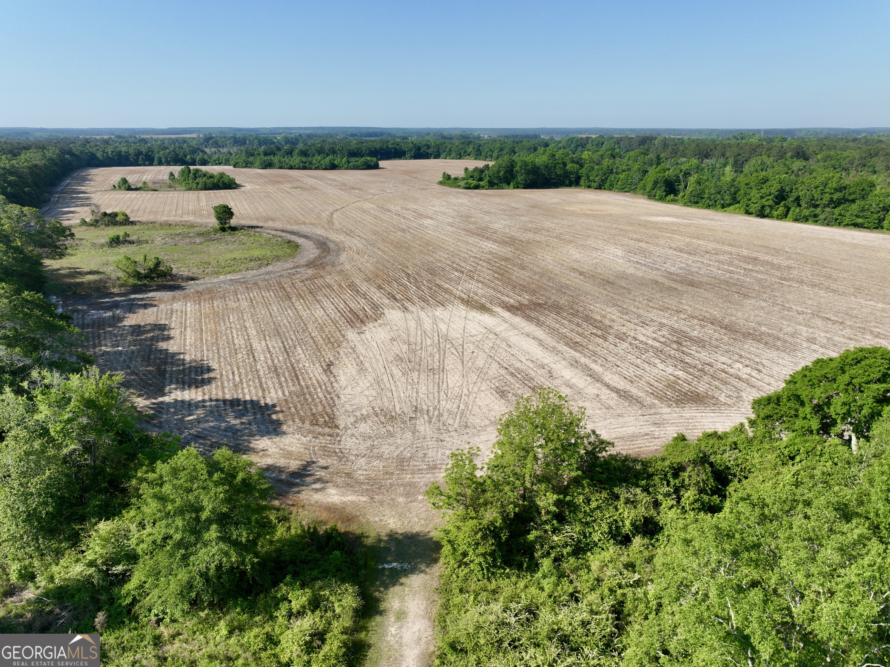 0 Folds Road Pineview GA 31071