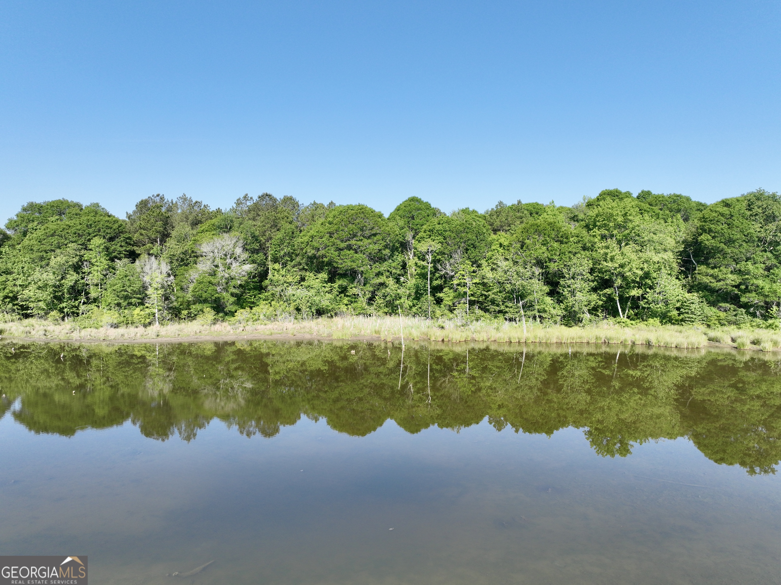 0 Folds Road Pineview GA 31071