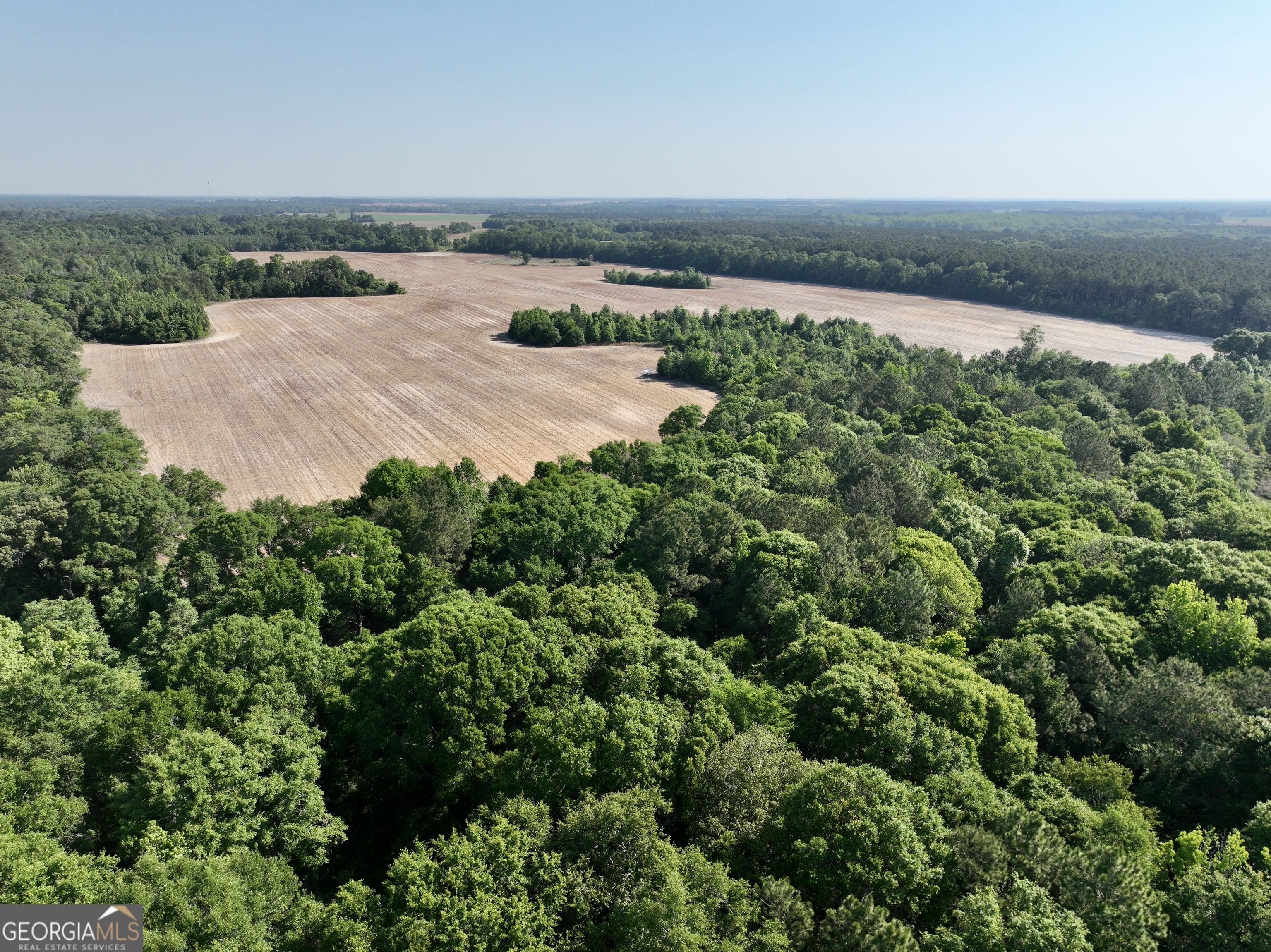0 Folds Road Pineview GA 31071
