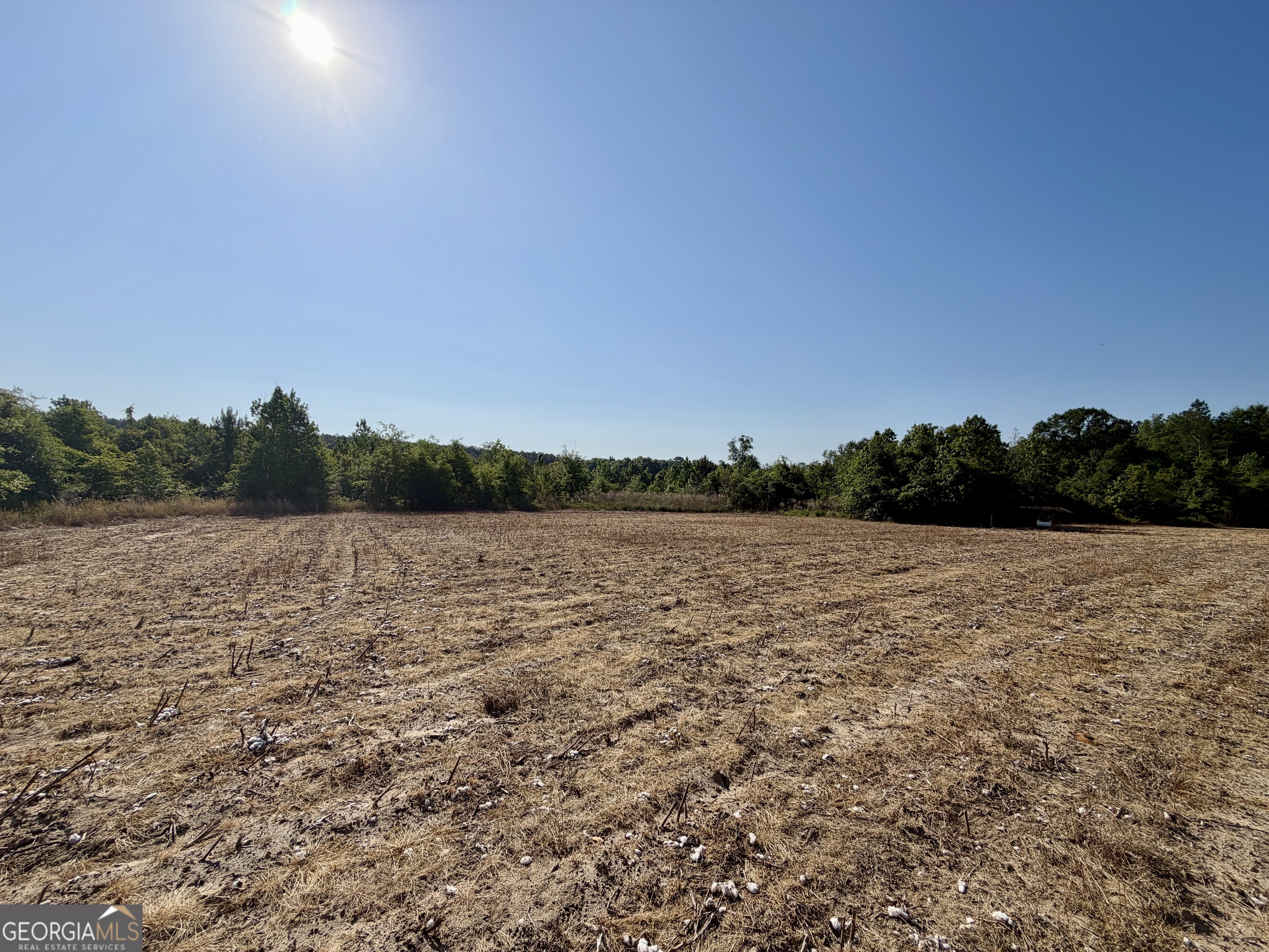 0 Folds Road Pineview GA 31071