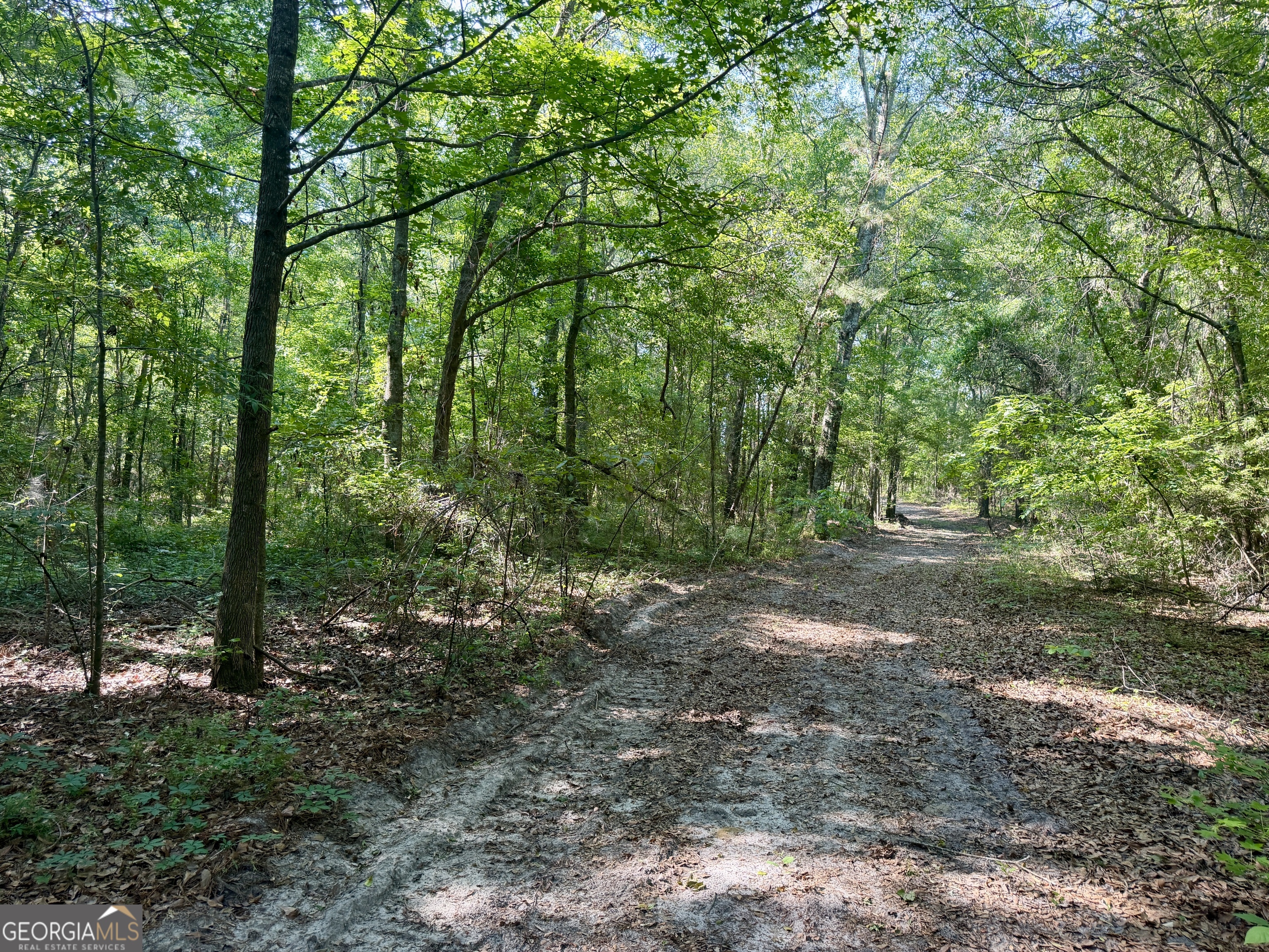 0 Folds Road Pineview GA 31071