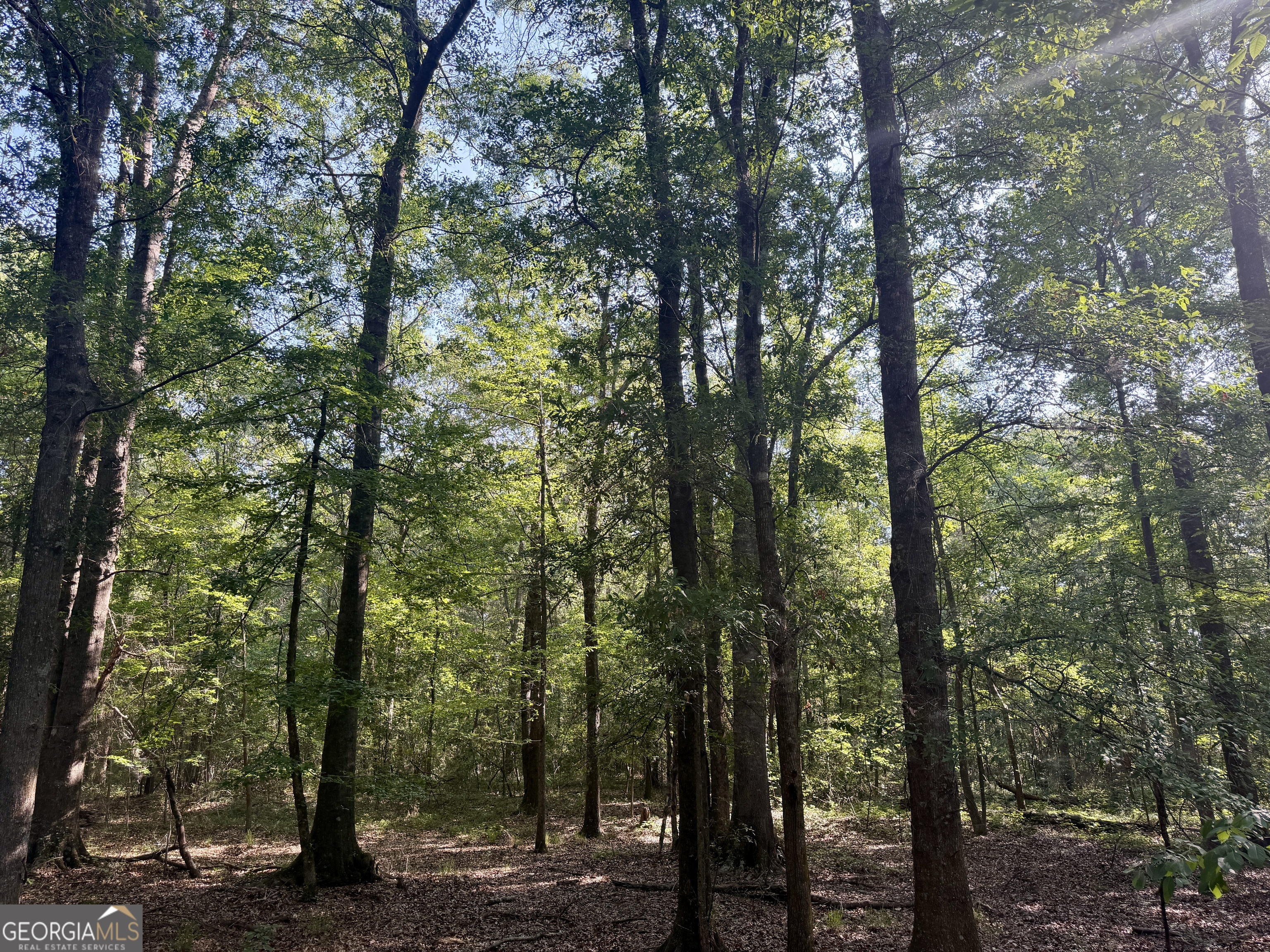 0 Folds Road Pineview GA 31071