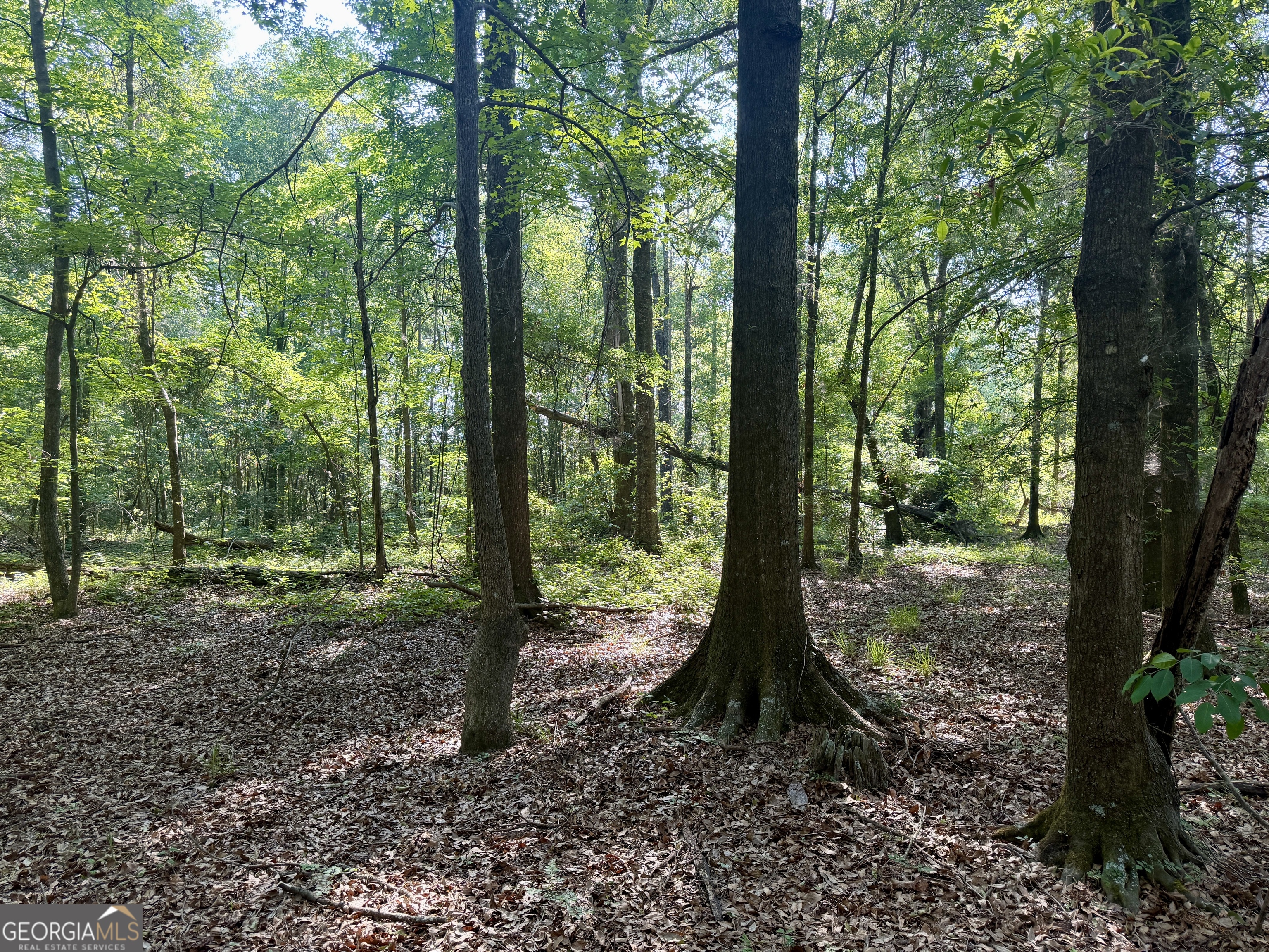 0 Folds Road Pineview GA 31071