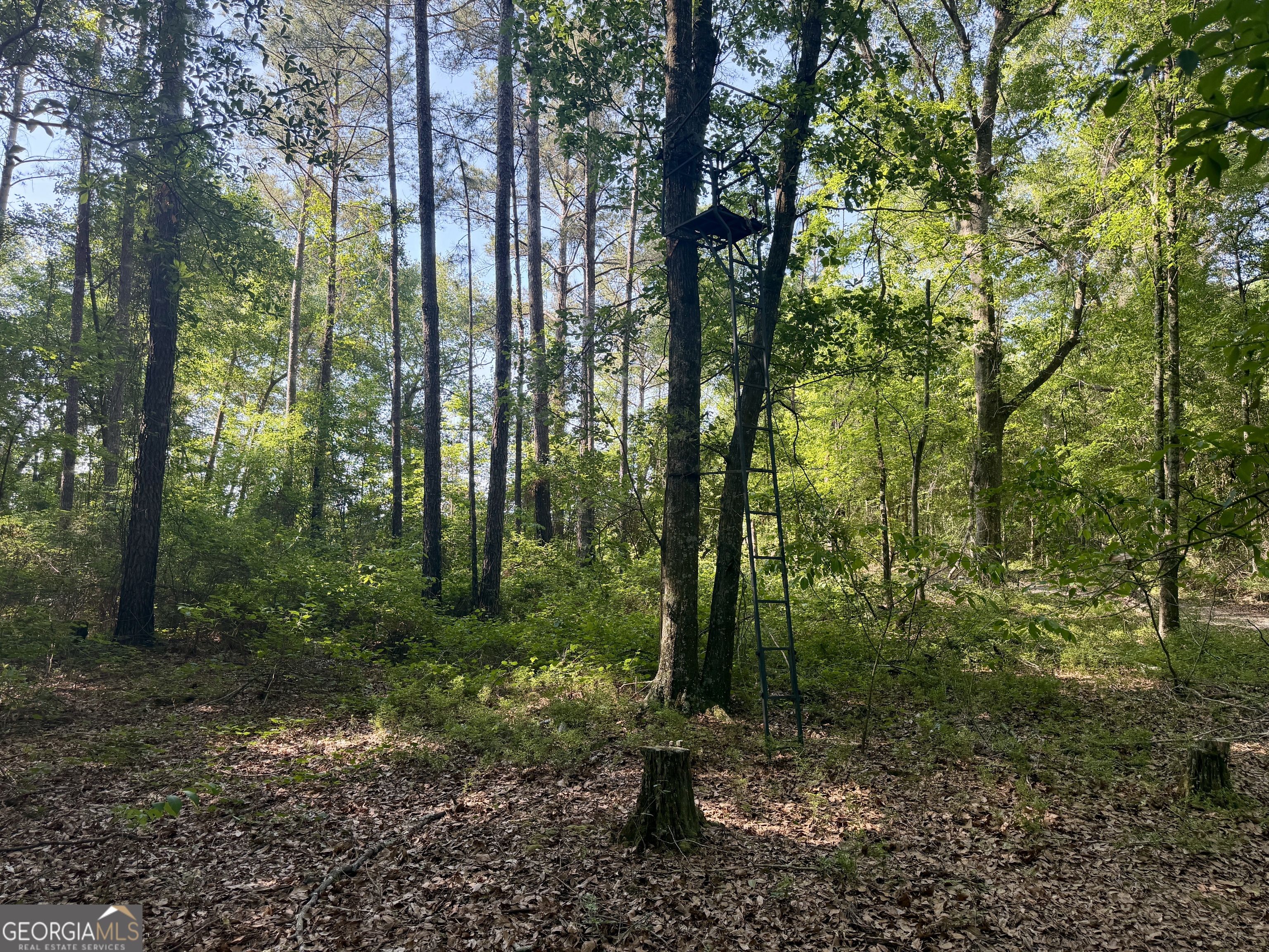 0 Folds Road Pineview GA 31071