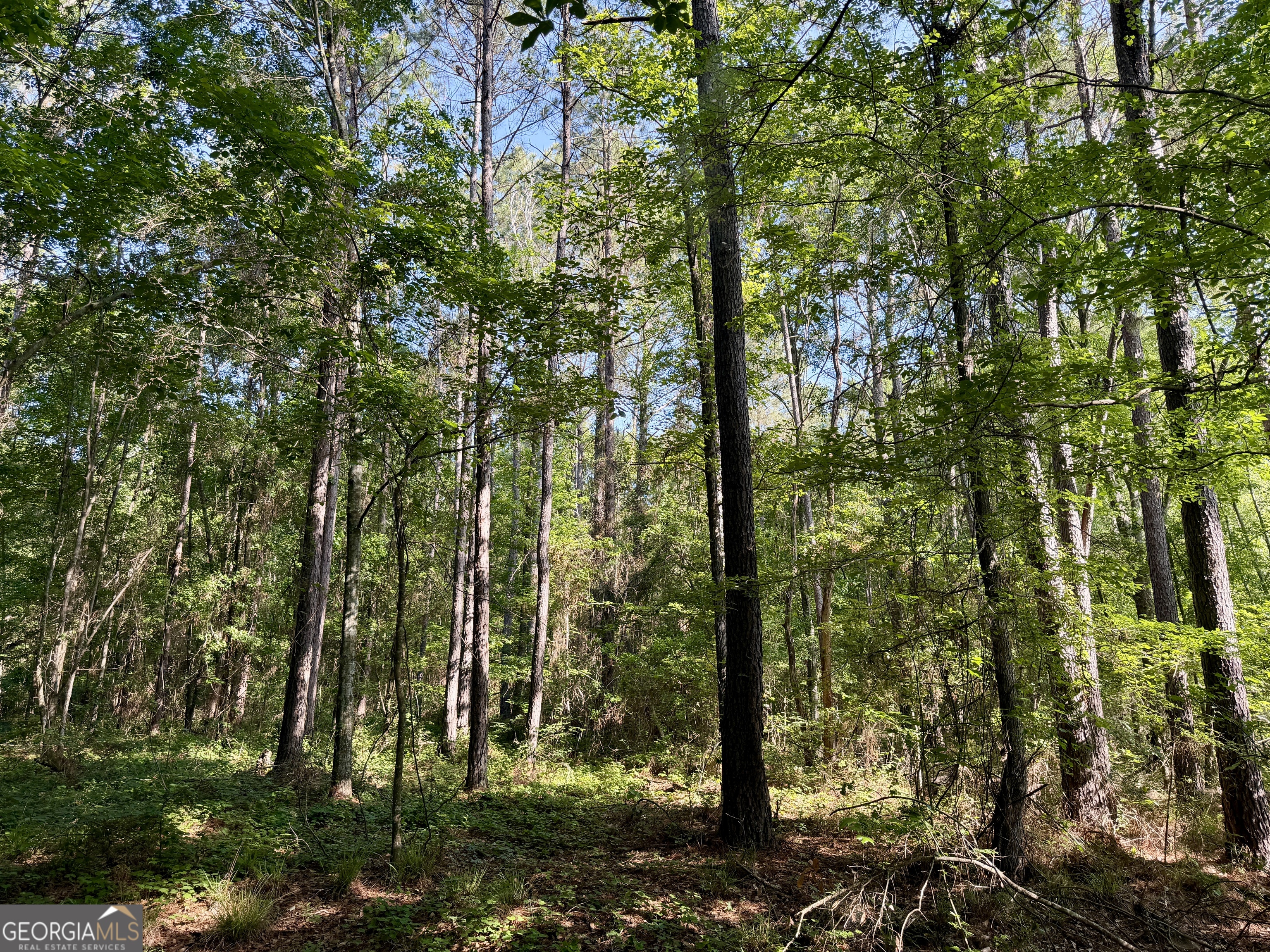 0 Folds Road Pineview GA 31071