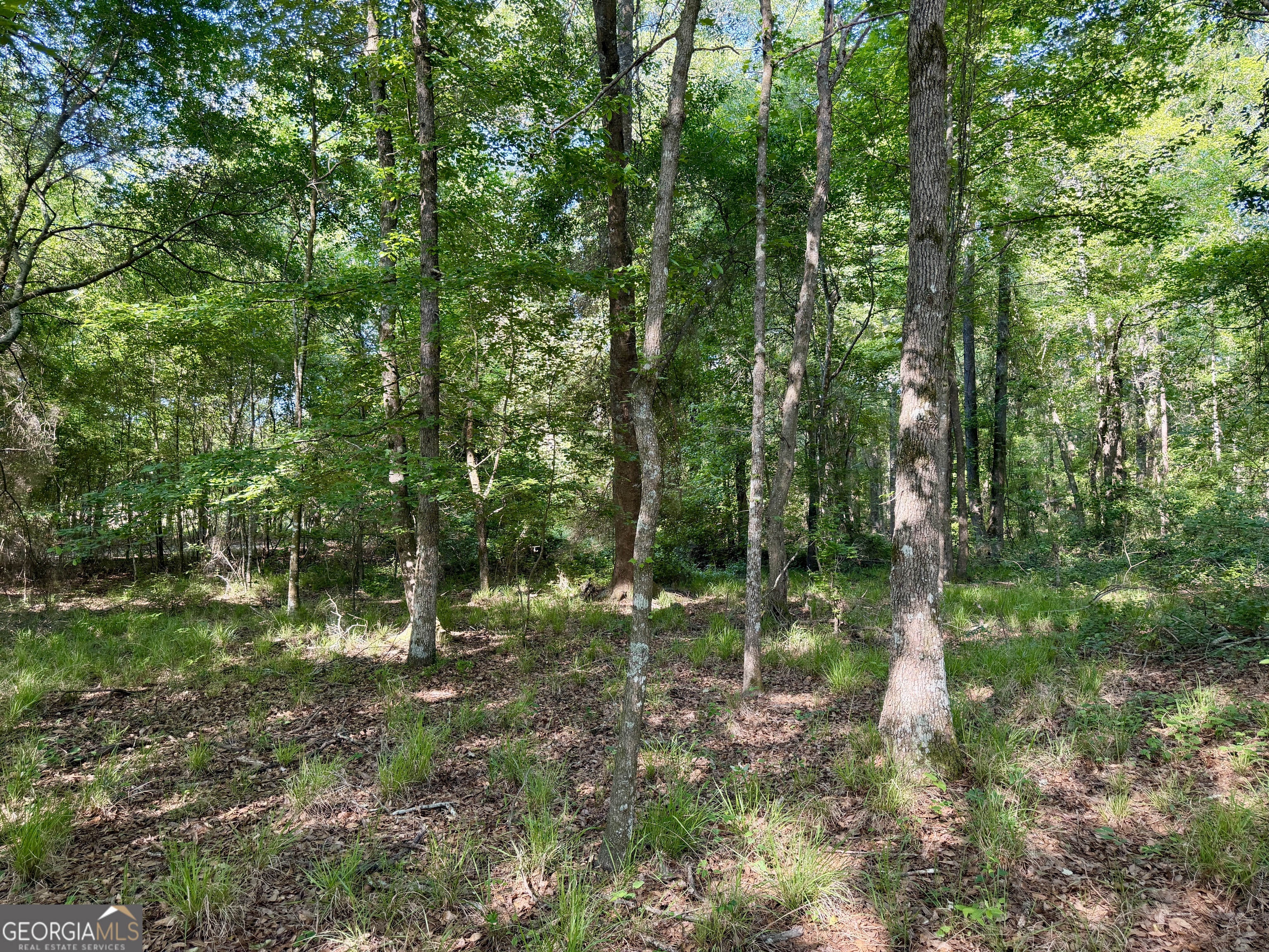 0 Folds Road Pineview GA 31071