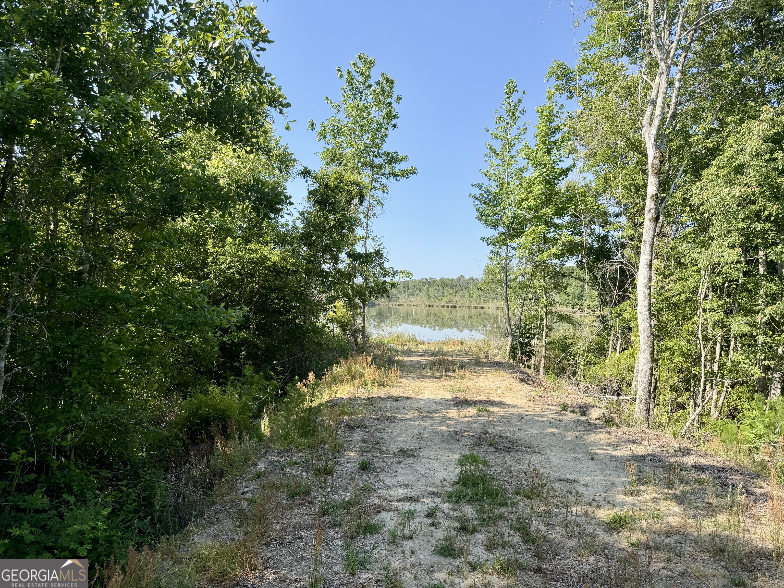 0 Folds Road Pineview GA 31071