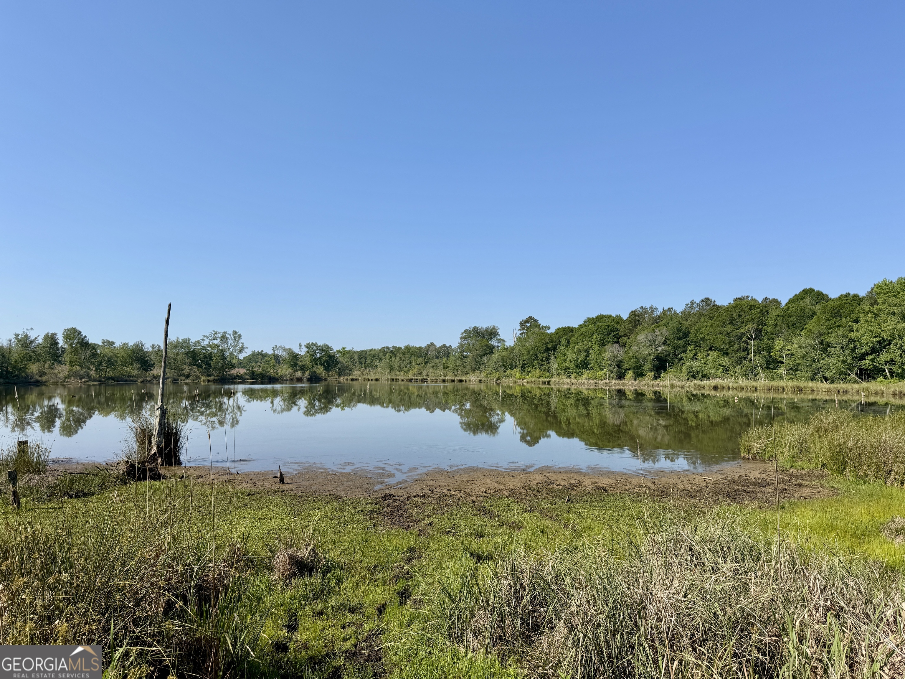 0 Folds Road Pineview GA 31071