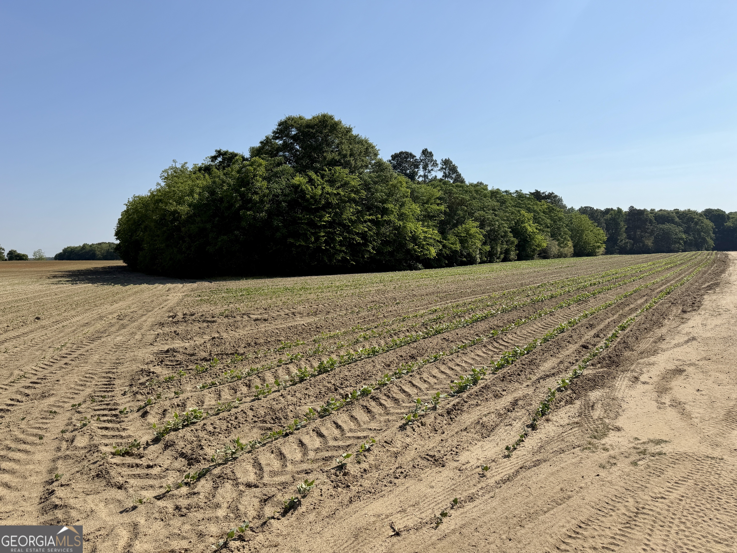 0 Folds Road Pineview GA 31071