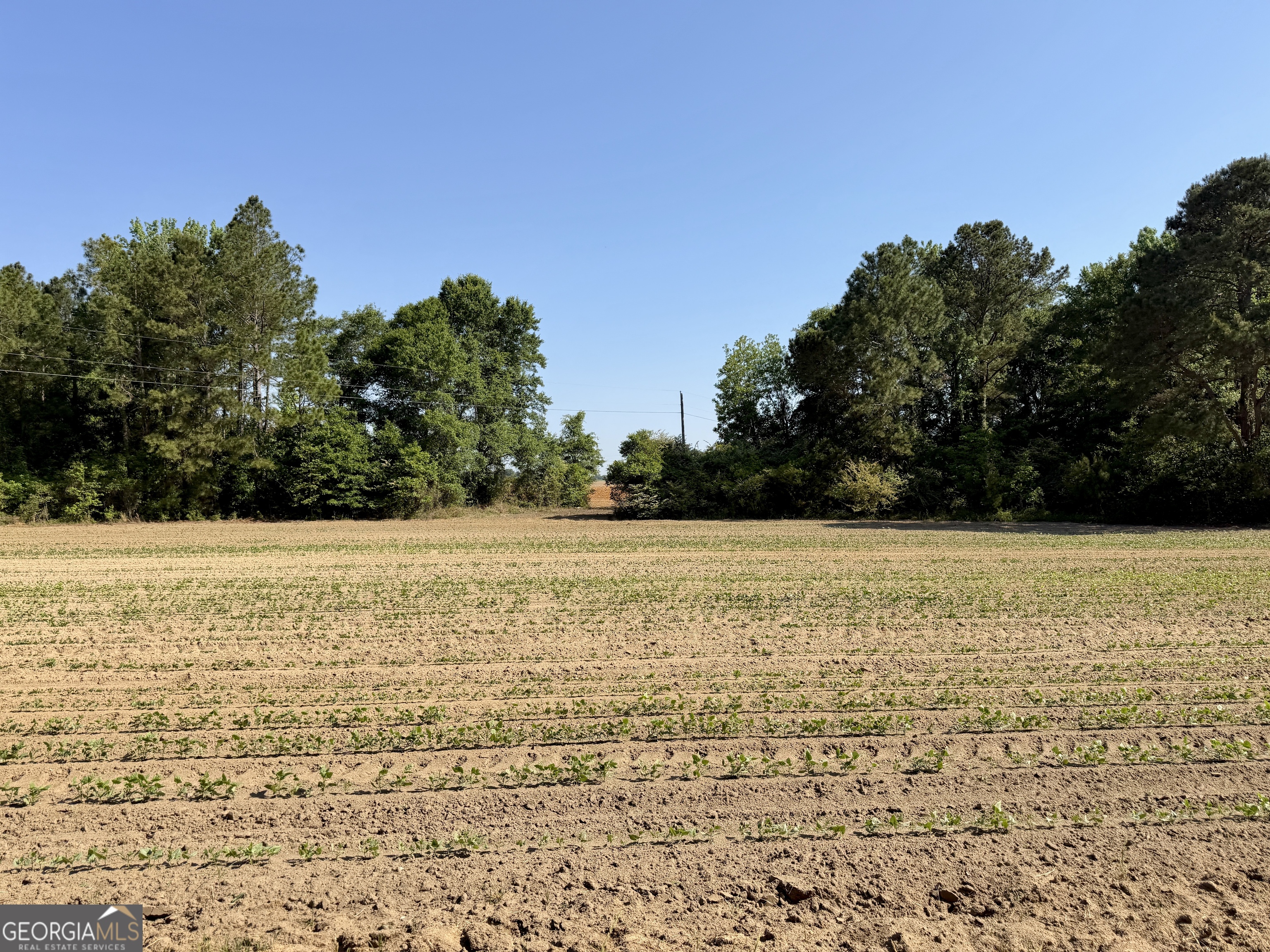0 Folds Road Pineview GA 31071