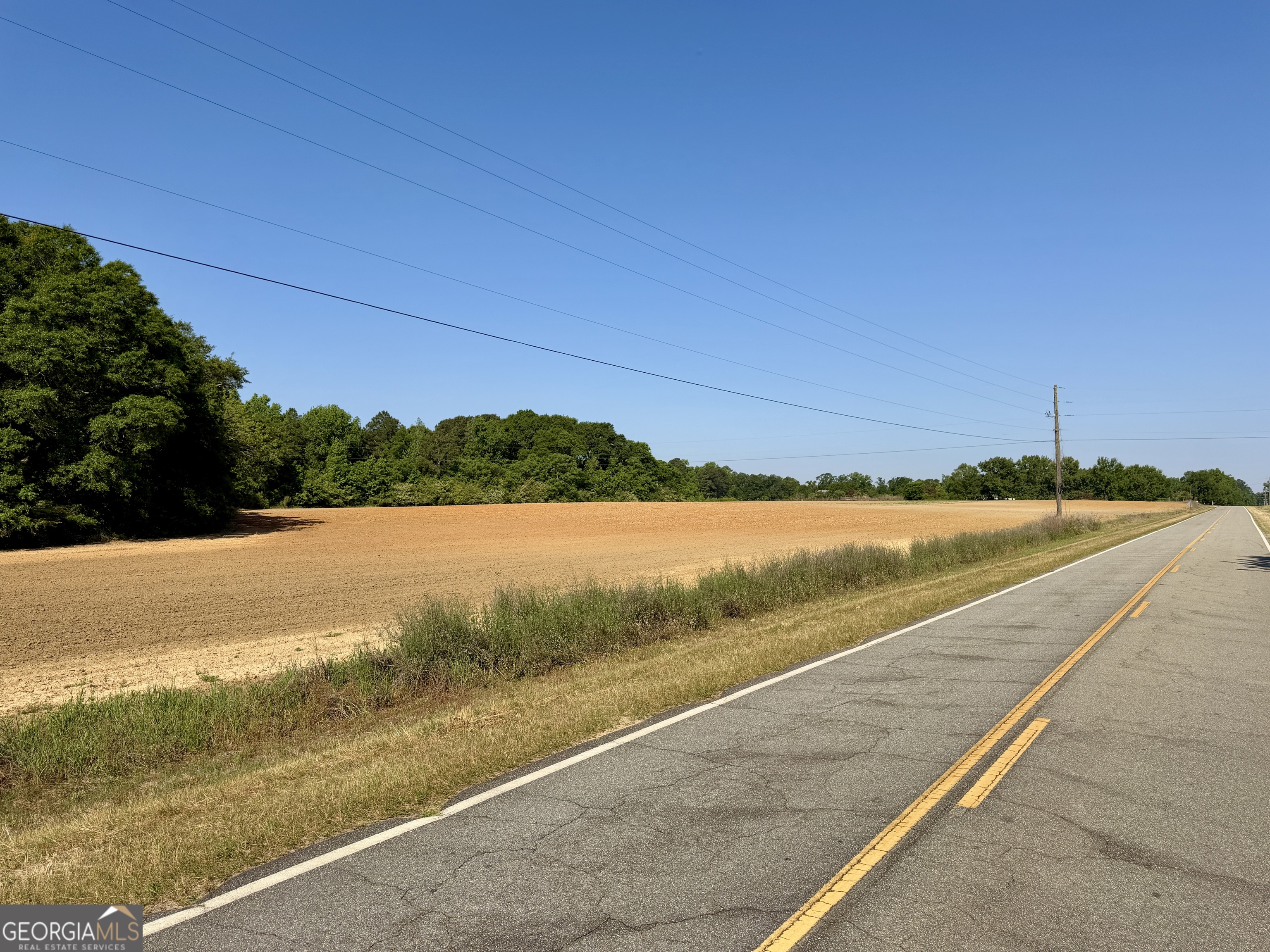 0 Folds Road Pineview GA 31071