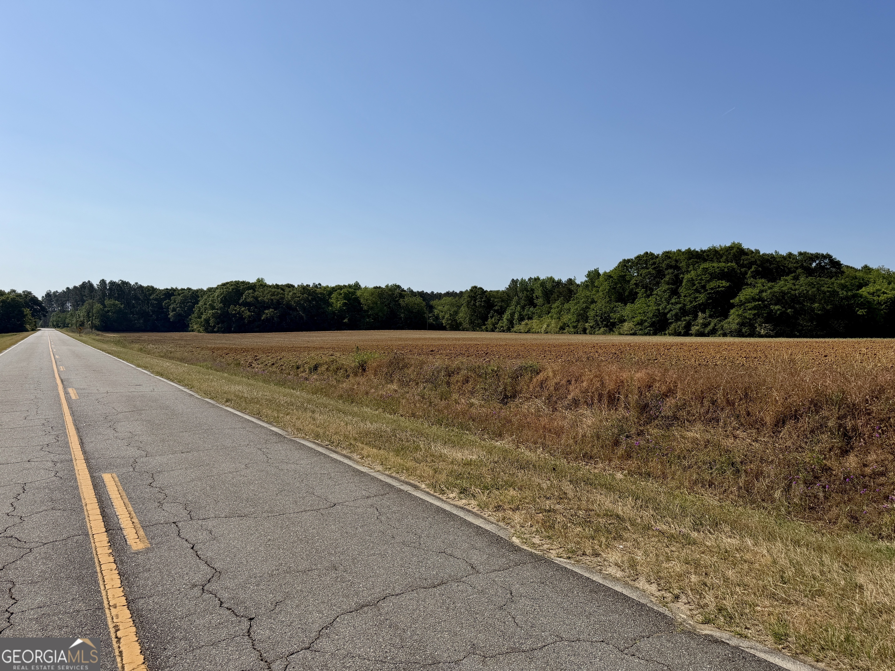 0 Folds Road Pineview GA 31071
