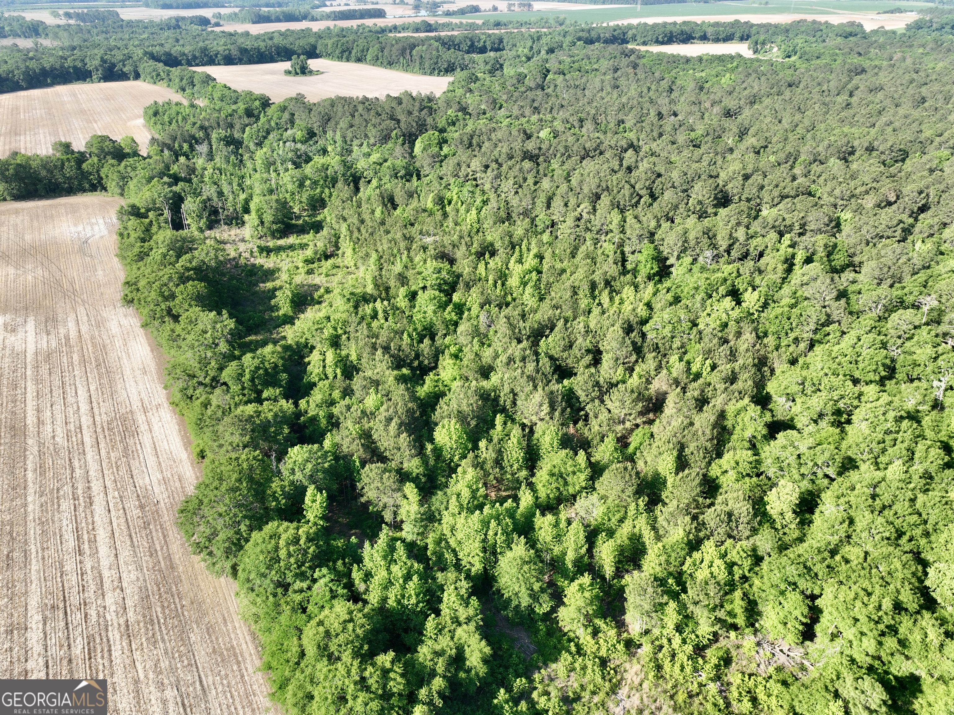 0 Folds Road Pineview GA 31071