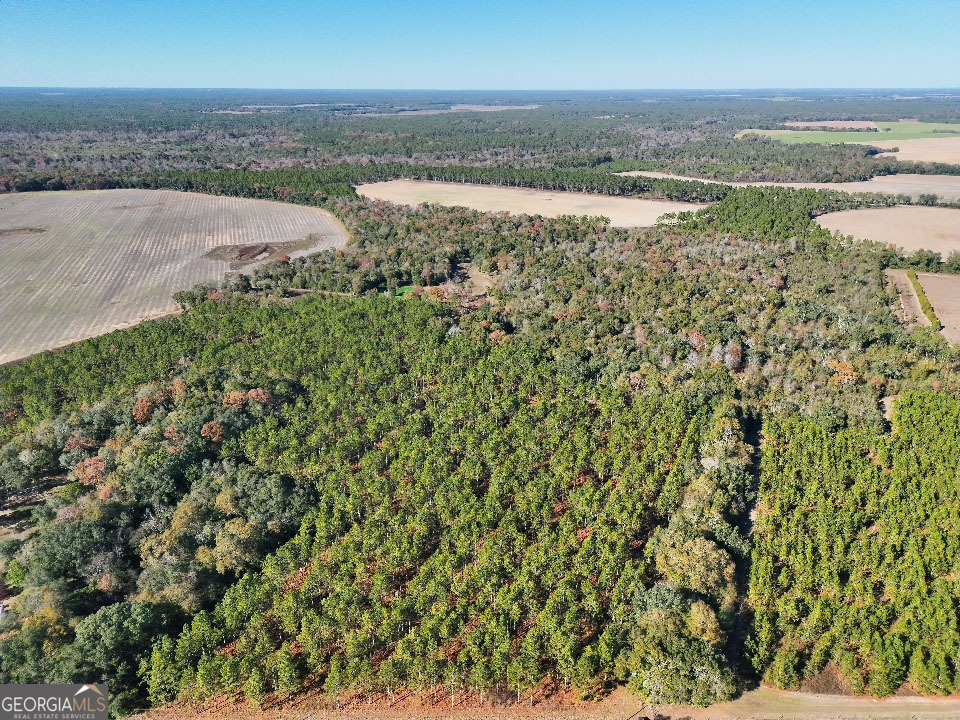 0 Highway 311 Camilla GA 31730