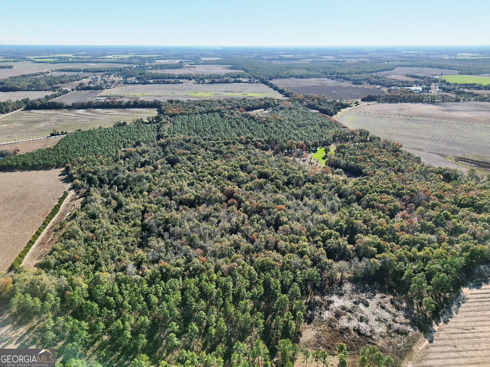 0 Highway 311 Camilla GA 31730