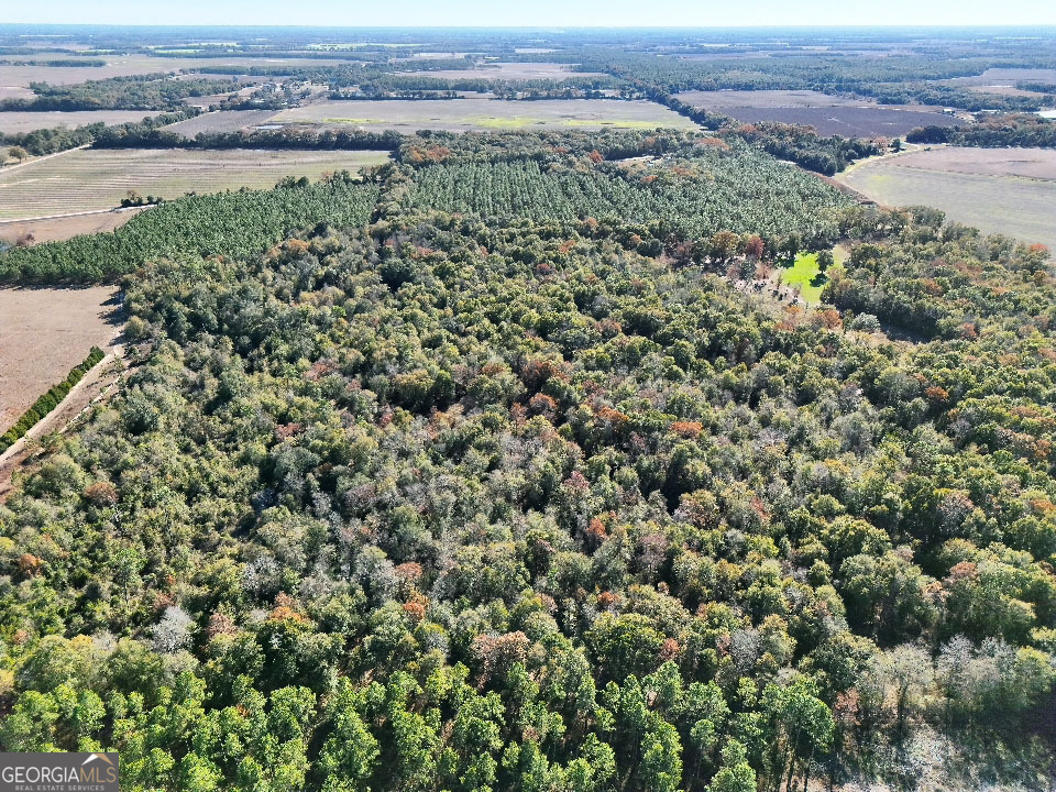 0 Highway 311 Camilla GA 31730