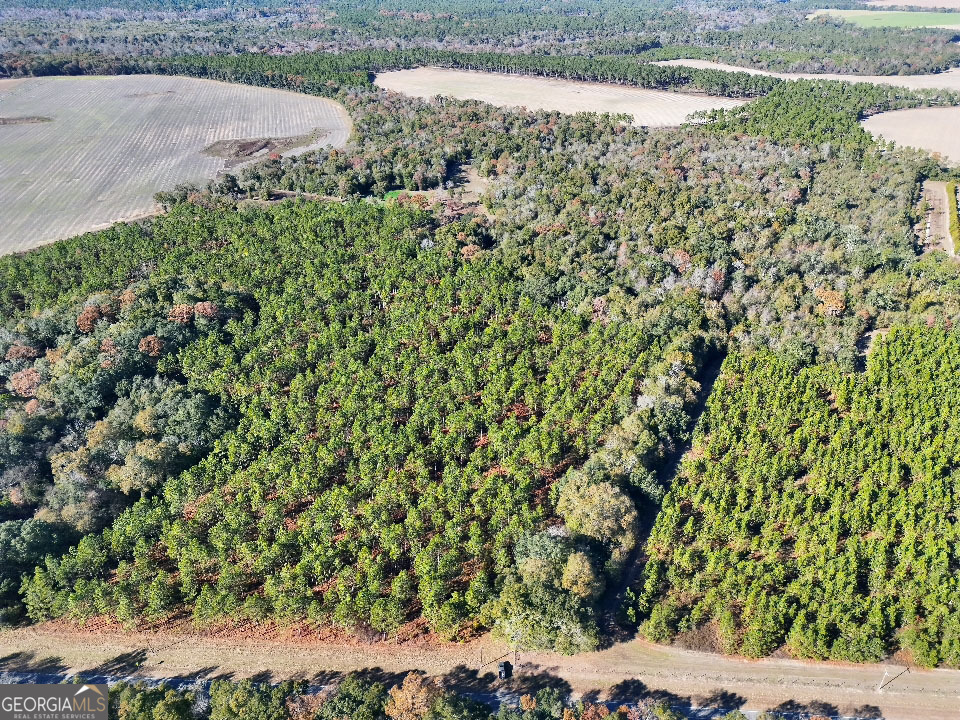 0 Highway 311 Camilla GA 31730