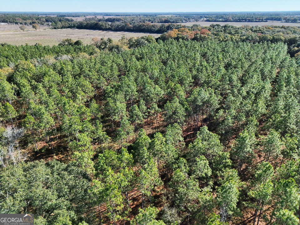 0 Highway 311 Camilla GA 31730