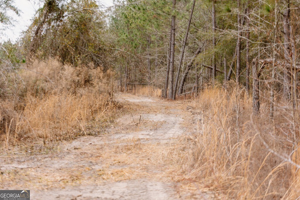 0 Bunn Store Road Midville GA 30441
