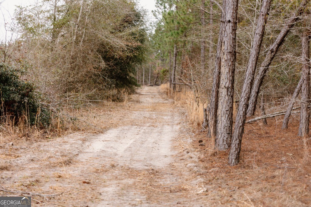 0 Bunn Store Road Midville GA 30441