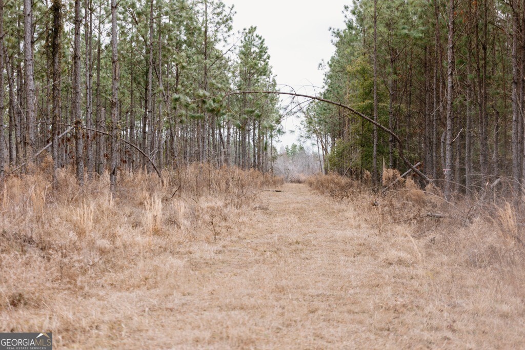 0 Bunn Store Road Midville GA 30441