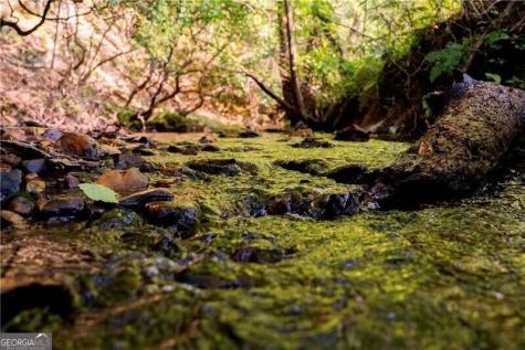 Lot A Porter Springs Road Dahlonega GA 30533